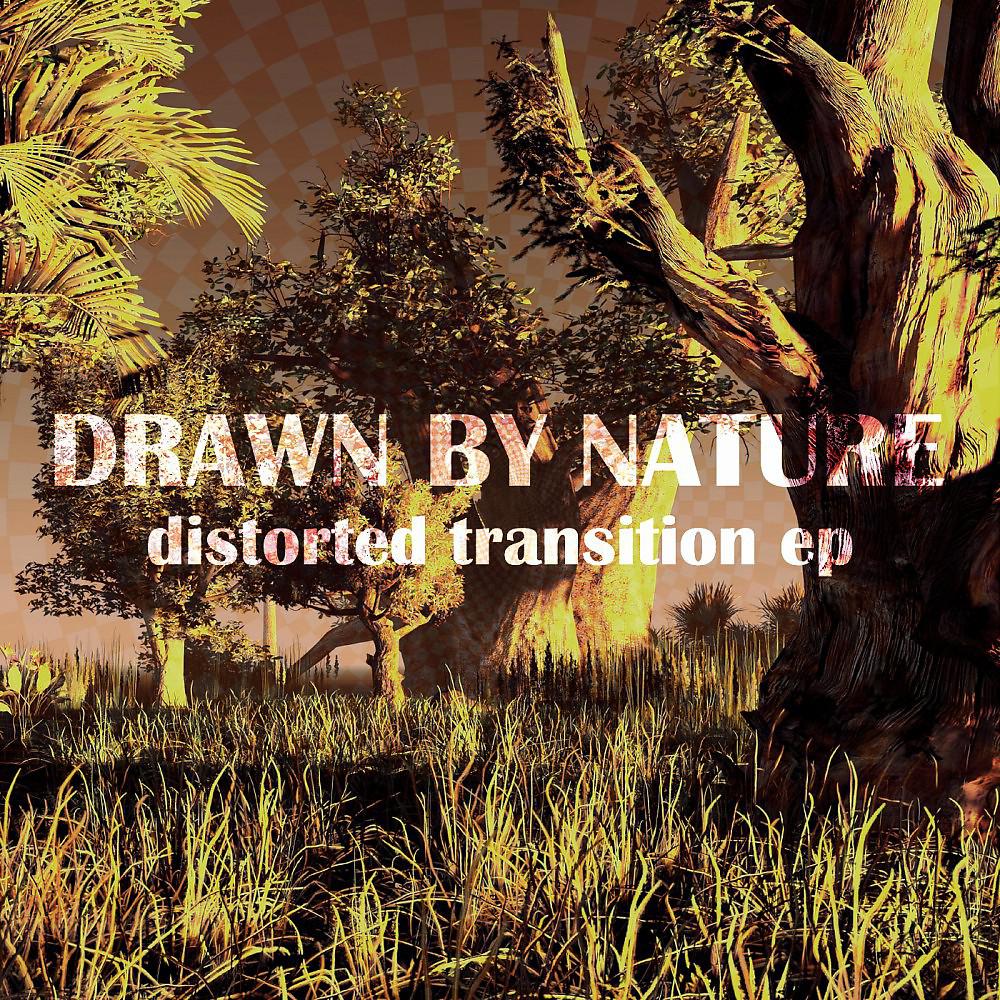 Постер альбома Distorted Transition