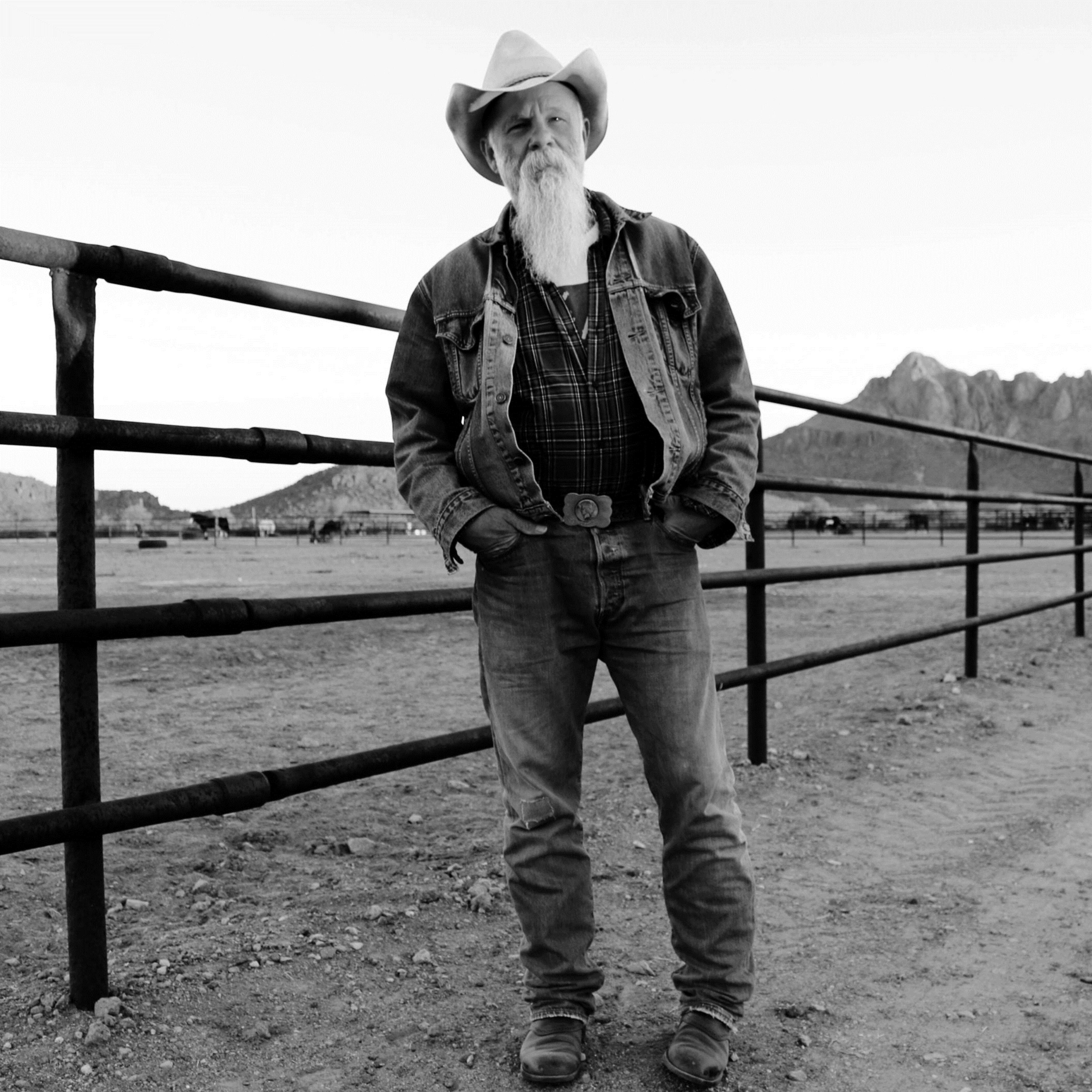 Seasick Steve - Grass Is Greener