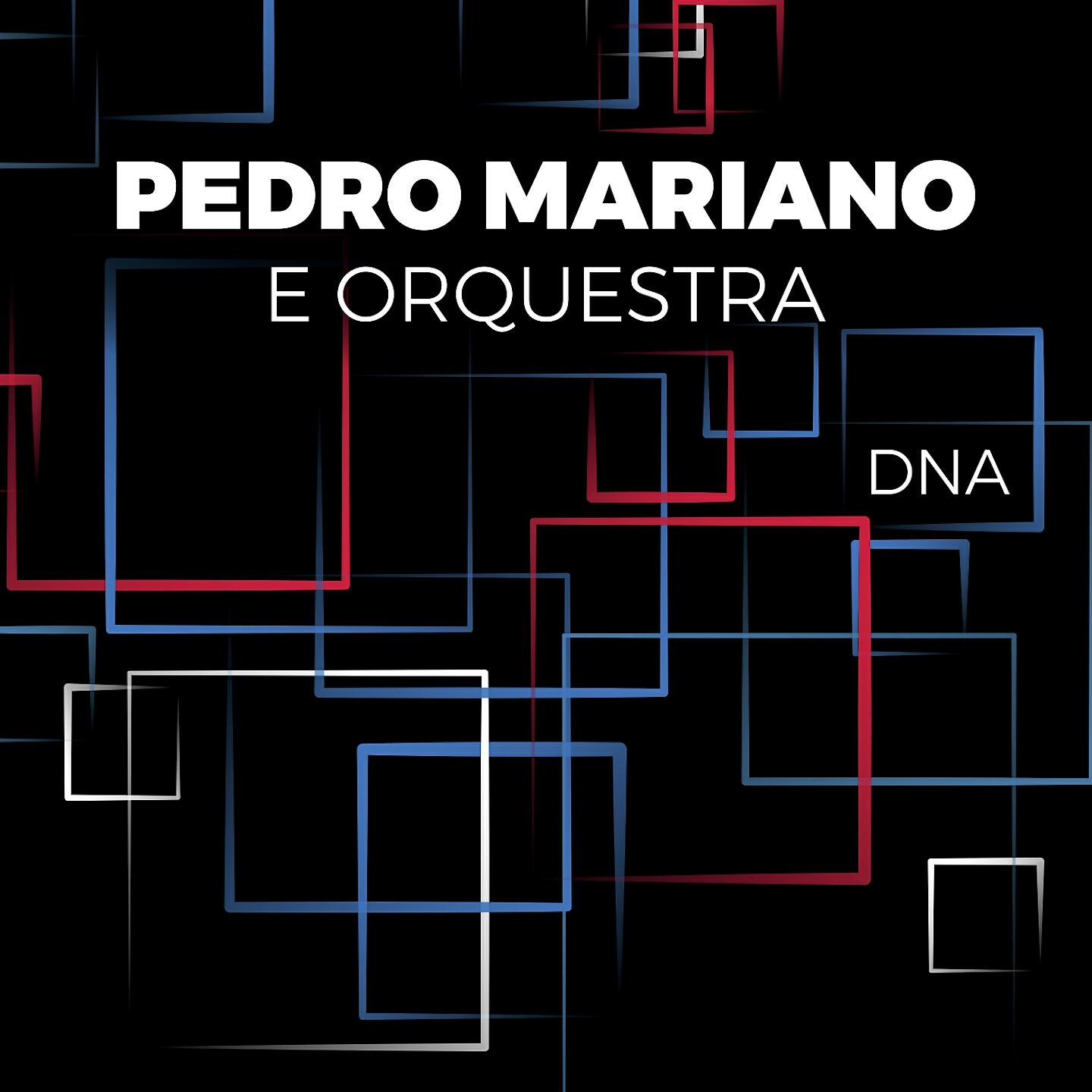 Pedro Mariano - Labirinto