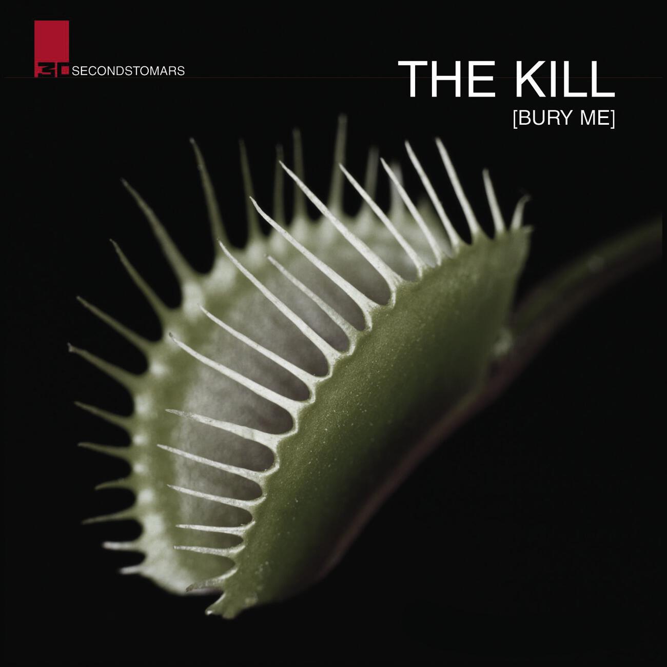 30 Seconds To Mars - The Kill (Bury Me) (Live)