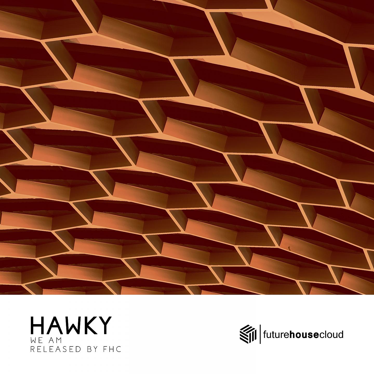 Постер альбома Hawky