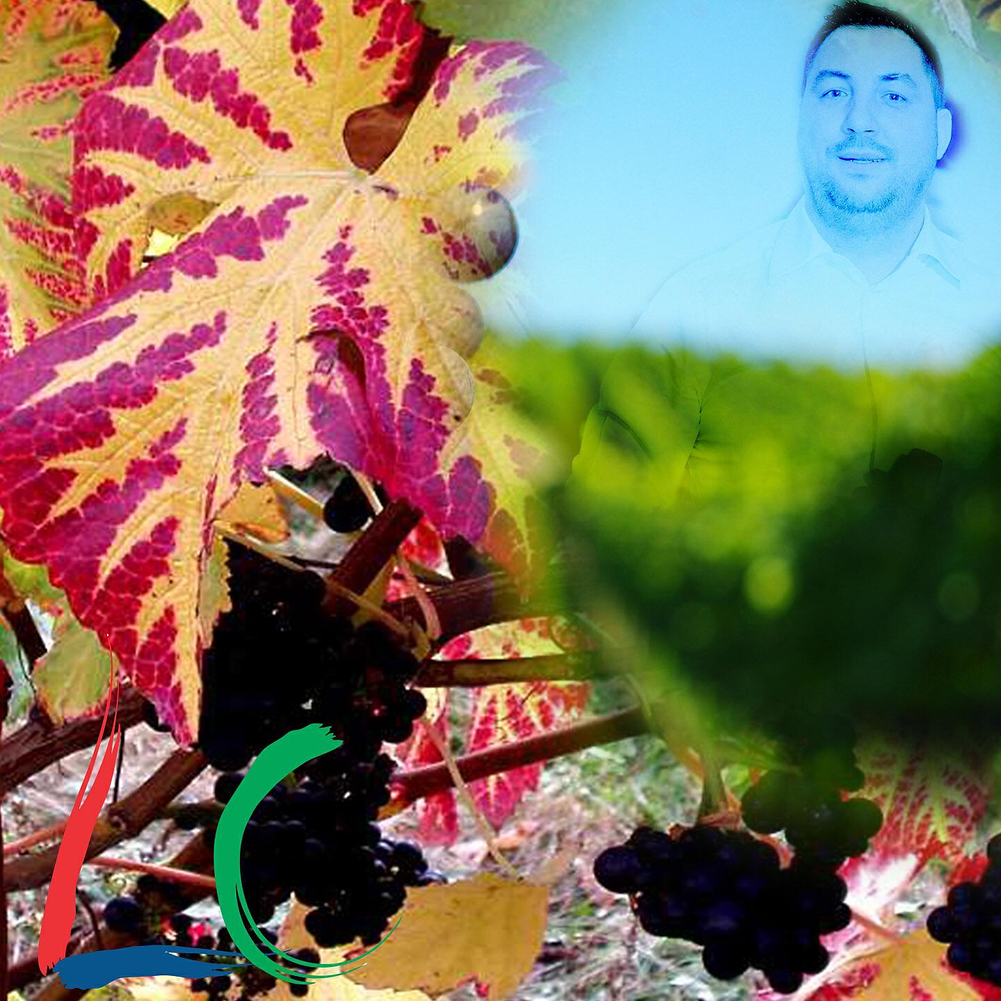 LAURENTIU CRACIUN - Inimoara Cu Dor