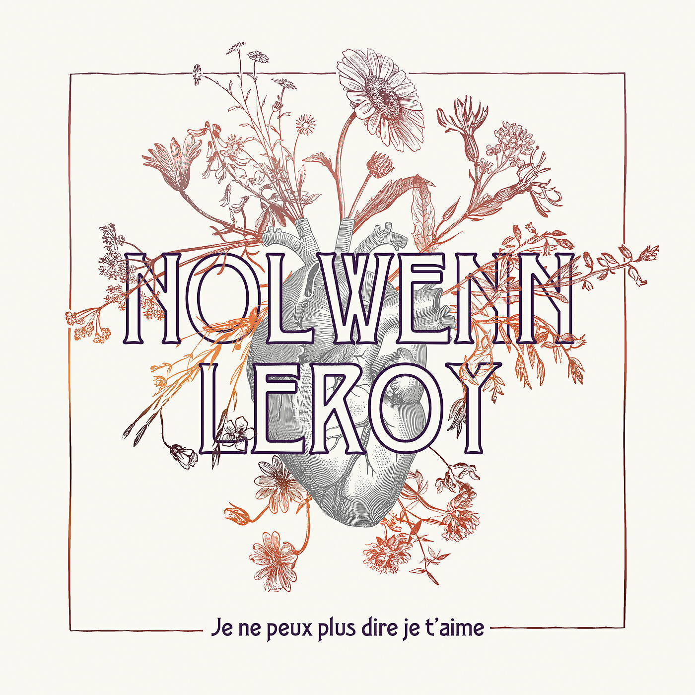 Je t aime pas. Nolwenn Leroy обложки альбомов. Nolwenn Leroy альбомы. Картинка je t'aime. Je t'aime песня.