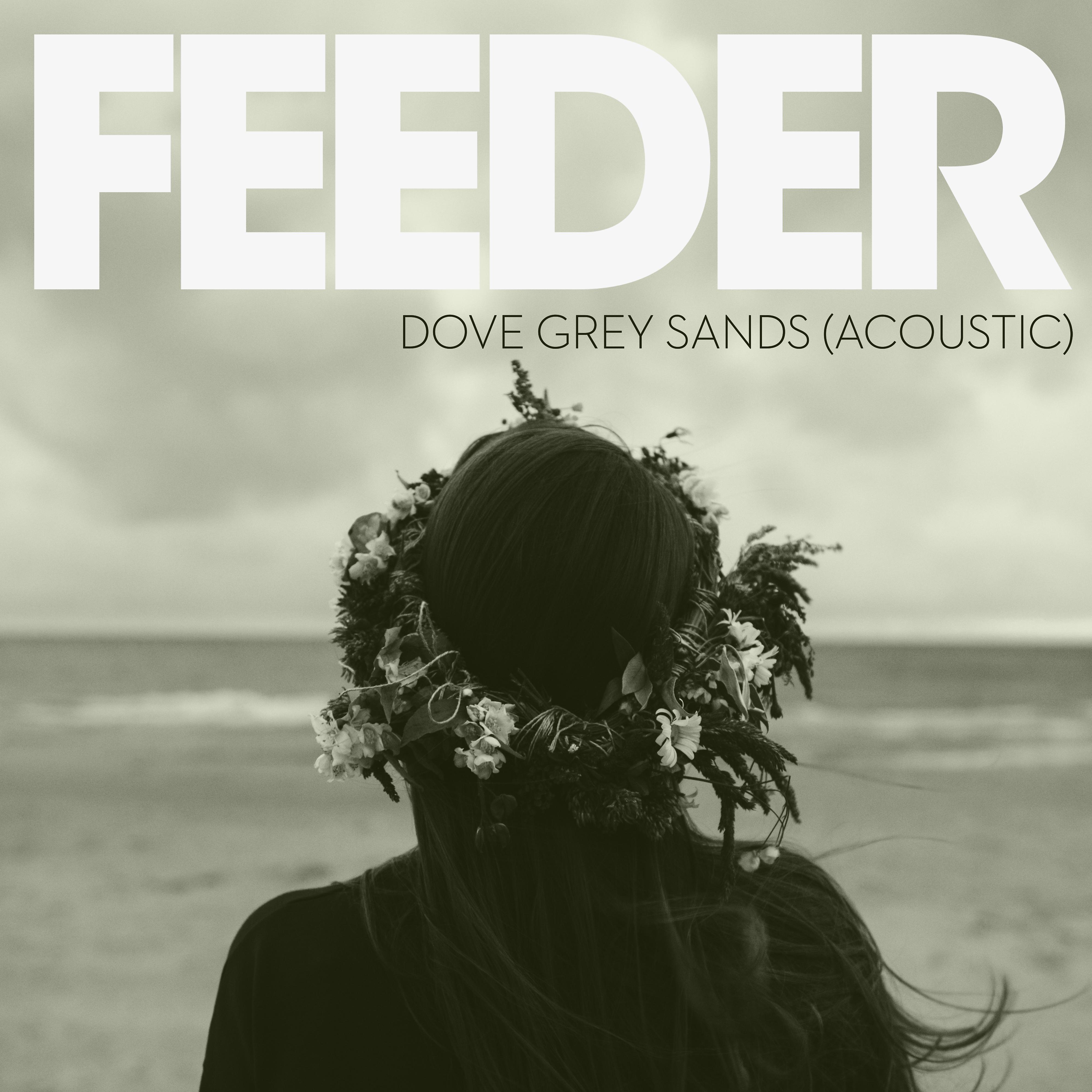 Постер альбома Dove Grey Sands (Acoustic Version)