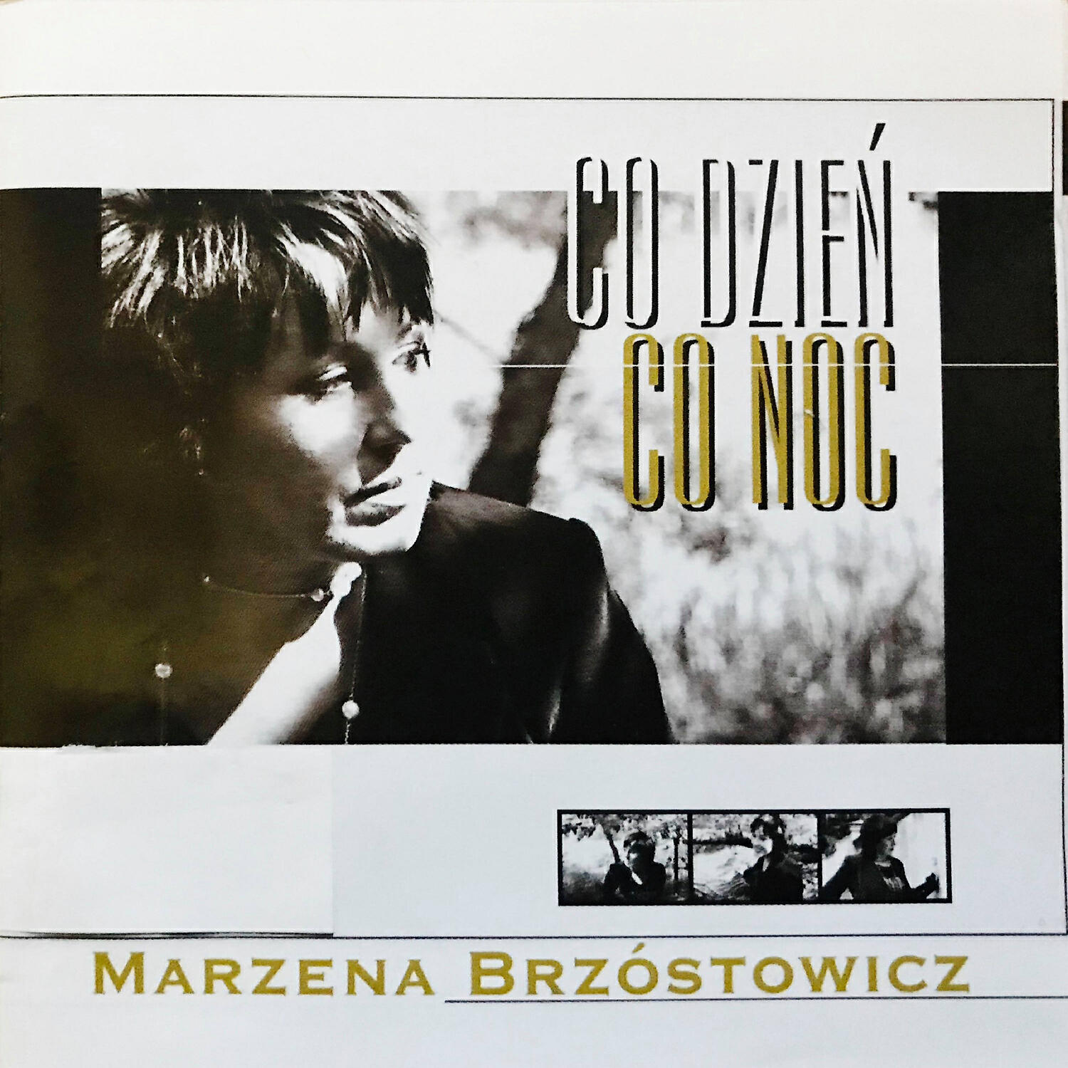 Marzena Brzostowicz - Trafilam na Twoj Slad