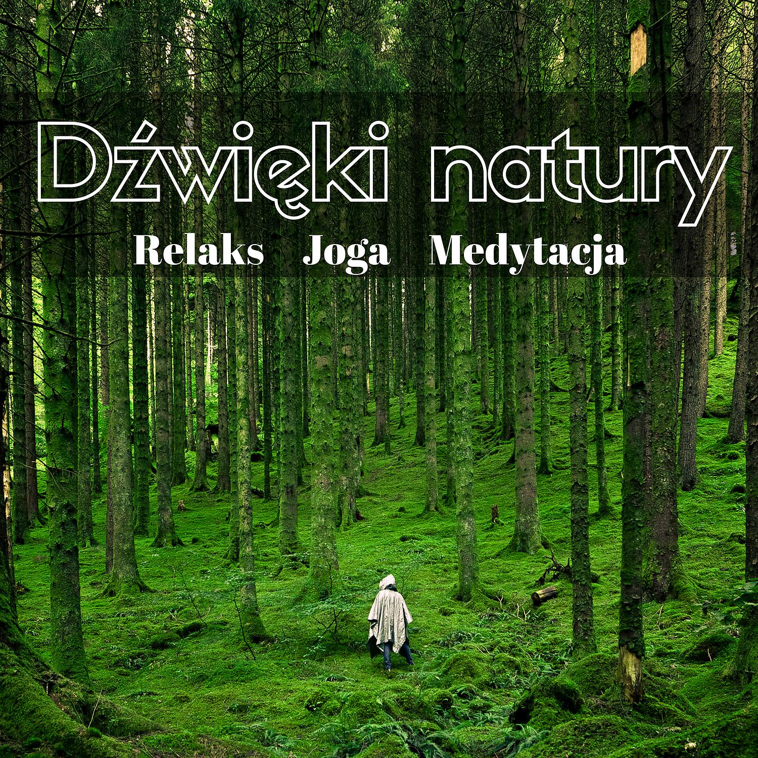 Постер альбома Dzwieki Natury – Szum Morze, Spiew Ptakow, Deszcz, Muzyka Relaksacyjna na Pianinie, Medytacja, Joga, Sen