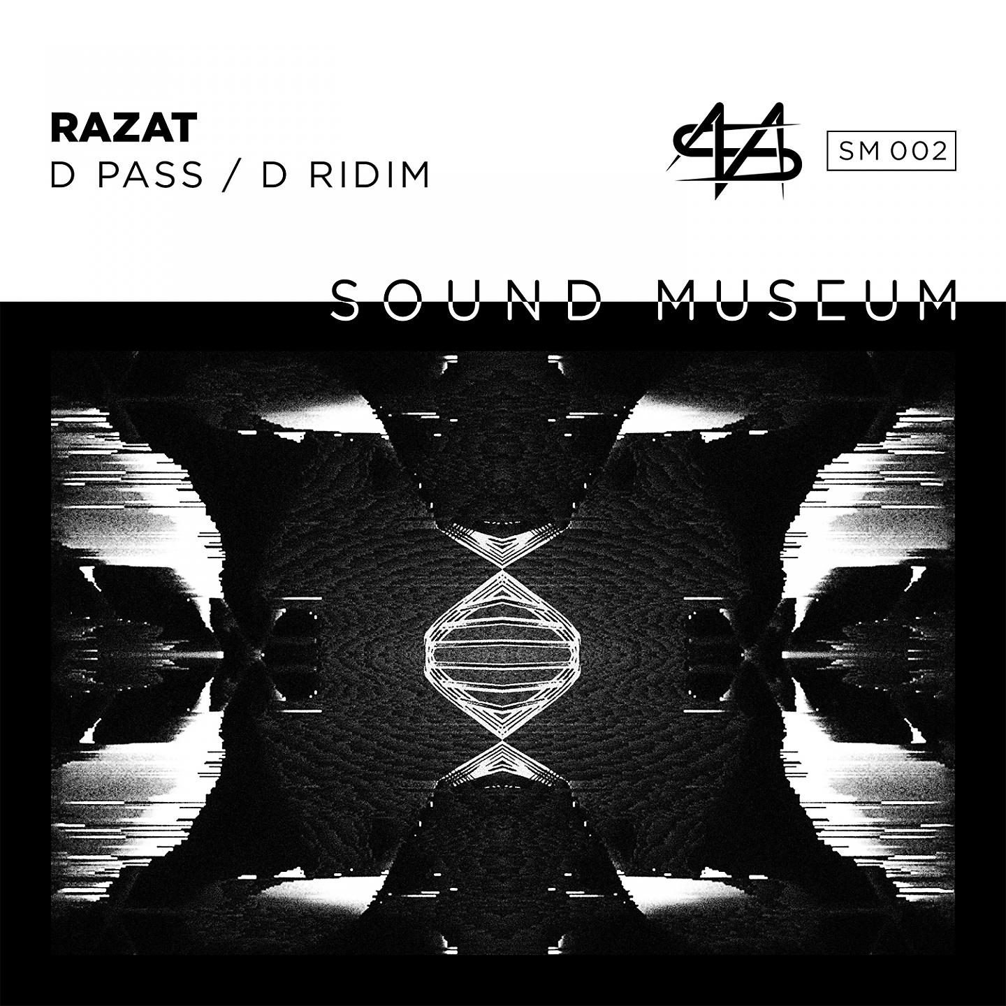 Постер альбома D Pass / D Ridim