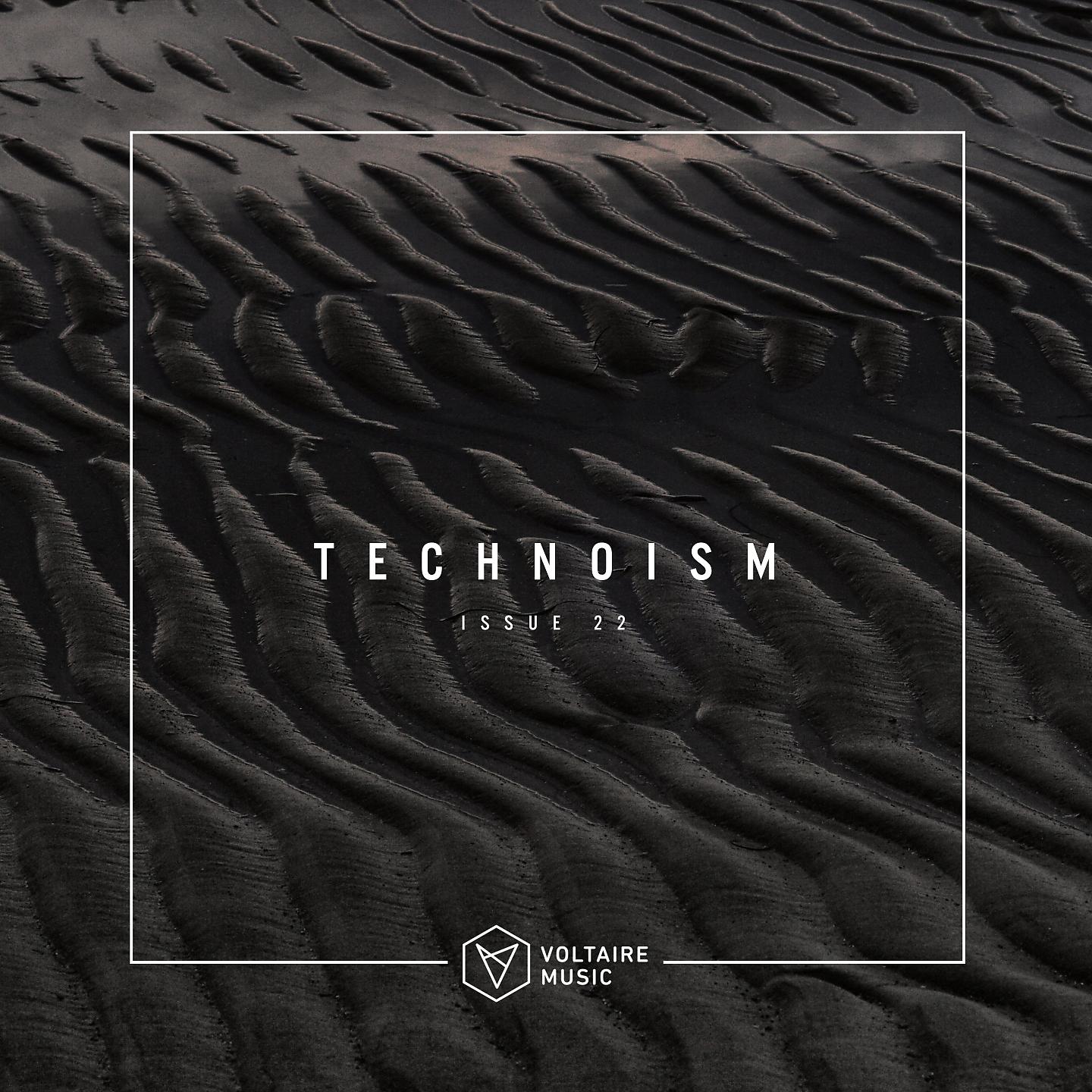 Постер альбома Technoism Issue 22