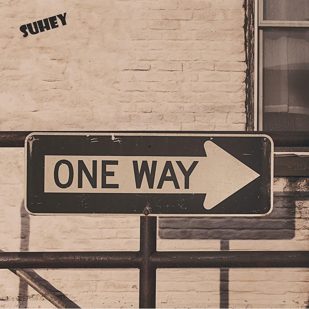 Suhey - All the Arguments