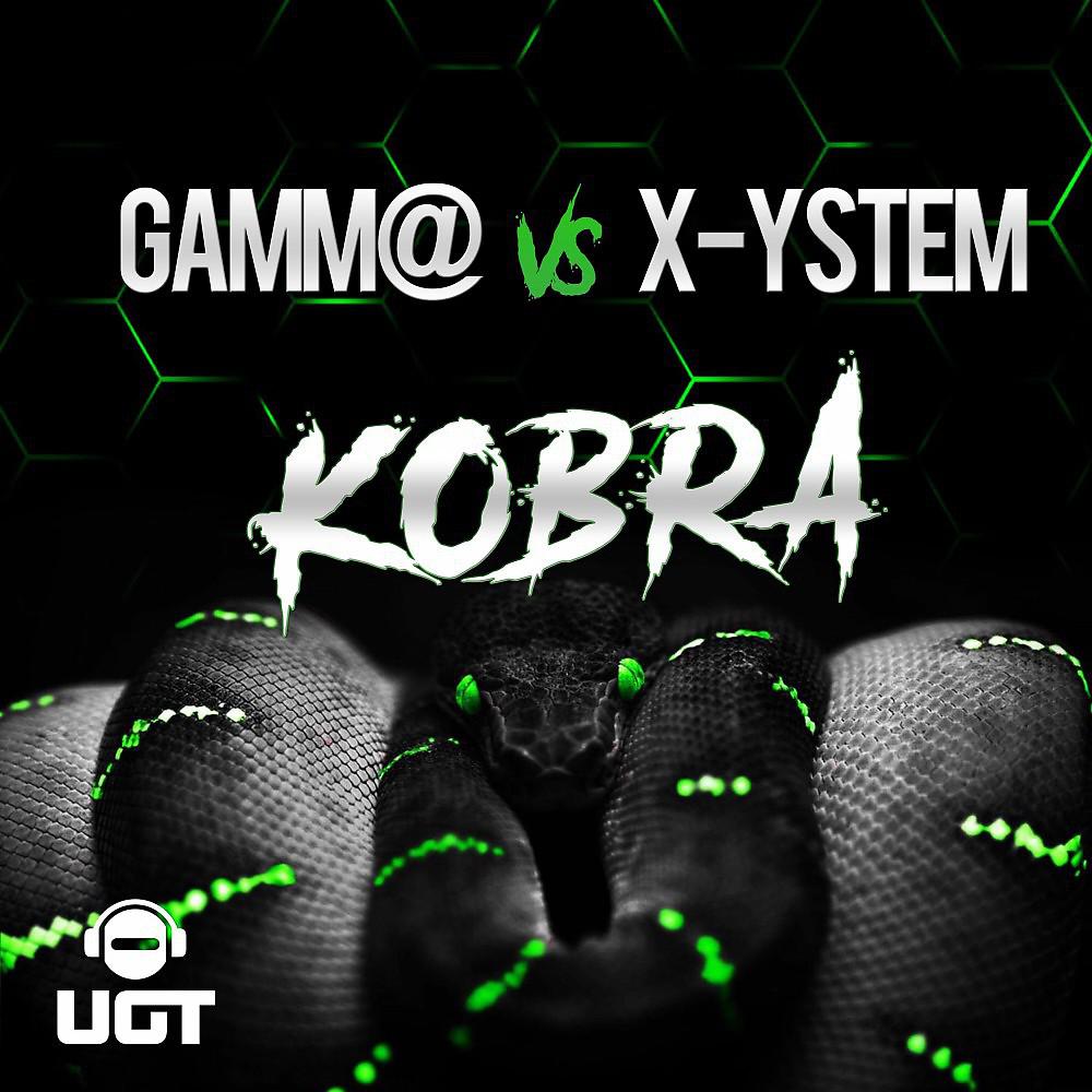 Постер альбома Kobra