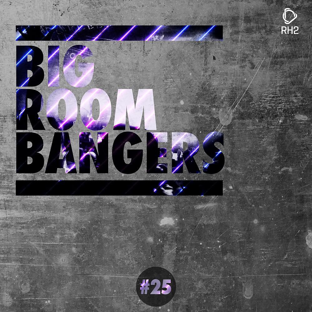Постер альбома Big Room Bangers, Vol. 25
