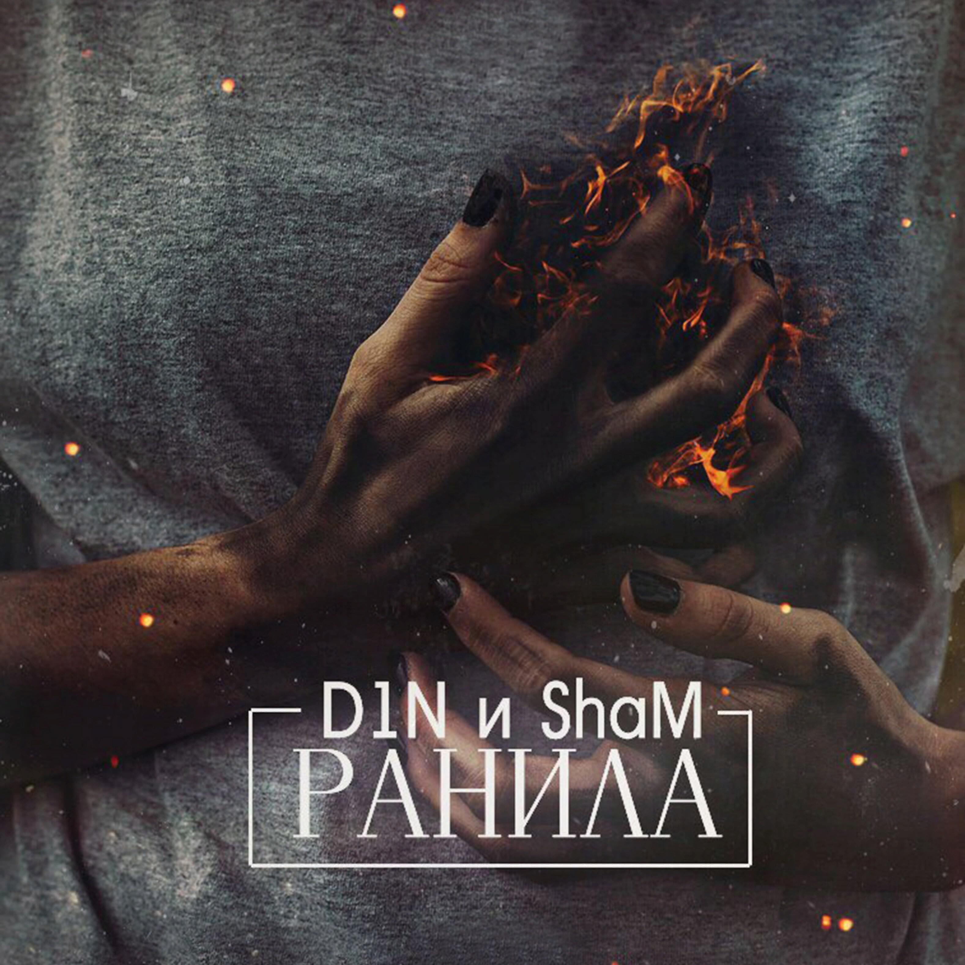 D1N - Ранила
