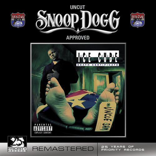 Ice Cube - The Wrong Nigga To Fuck Wit