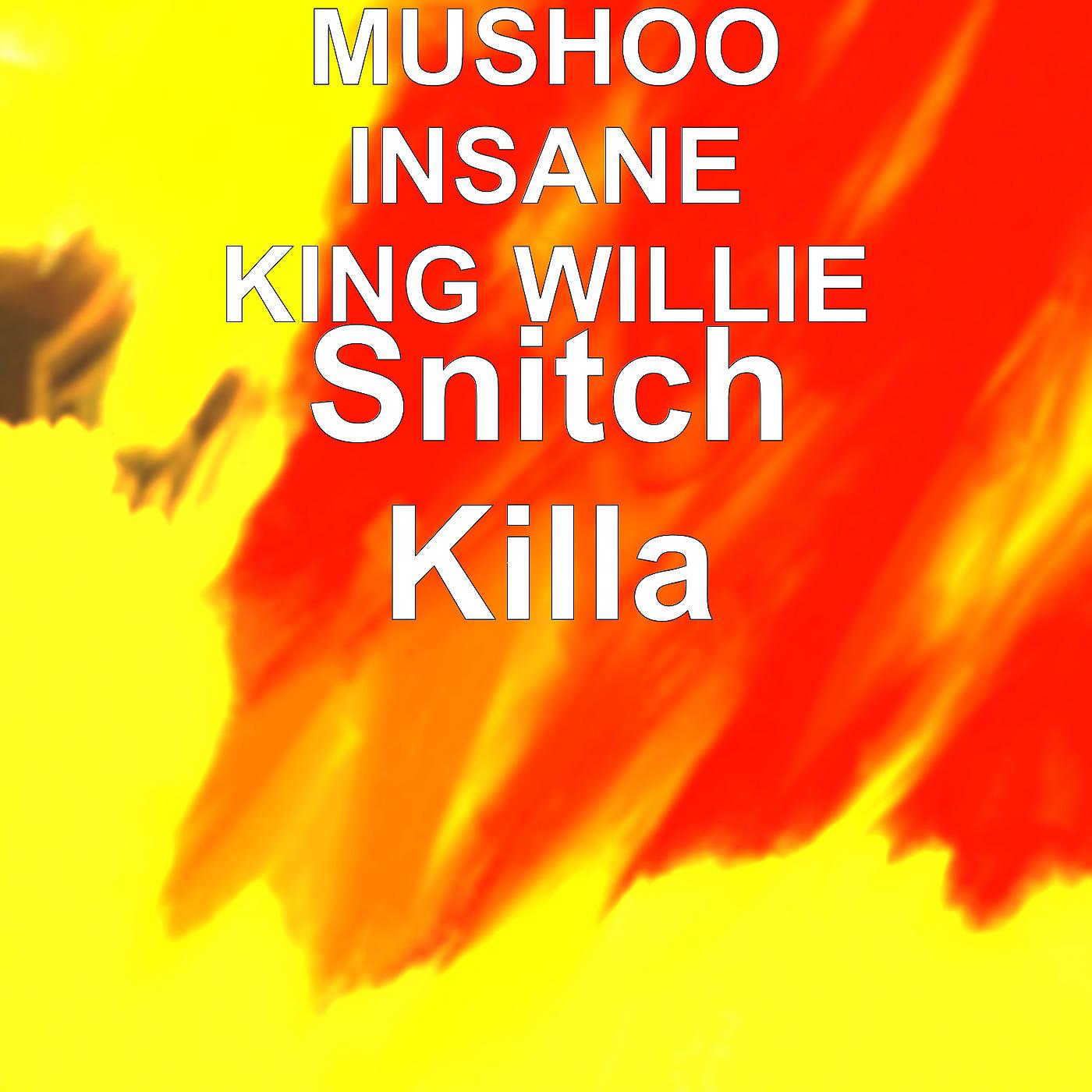 Постер альбома Snitch Killa