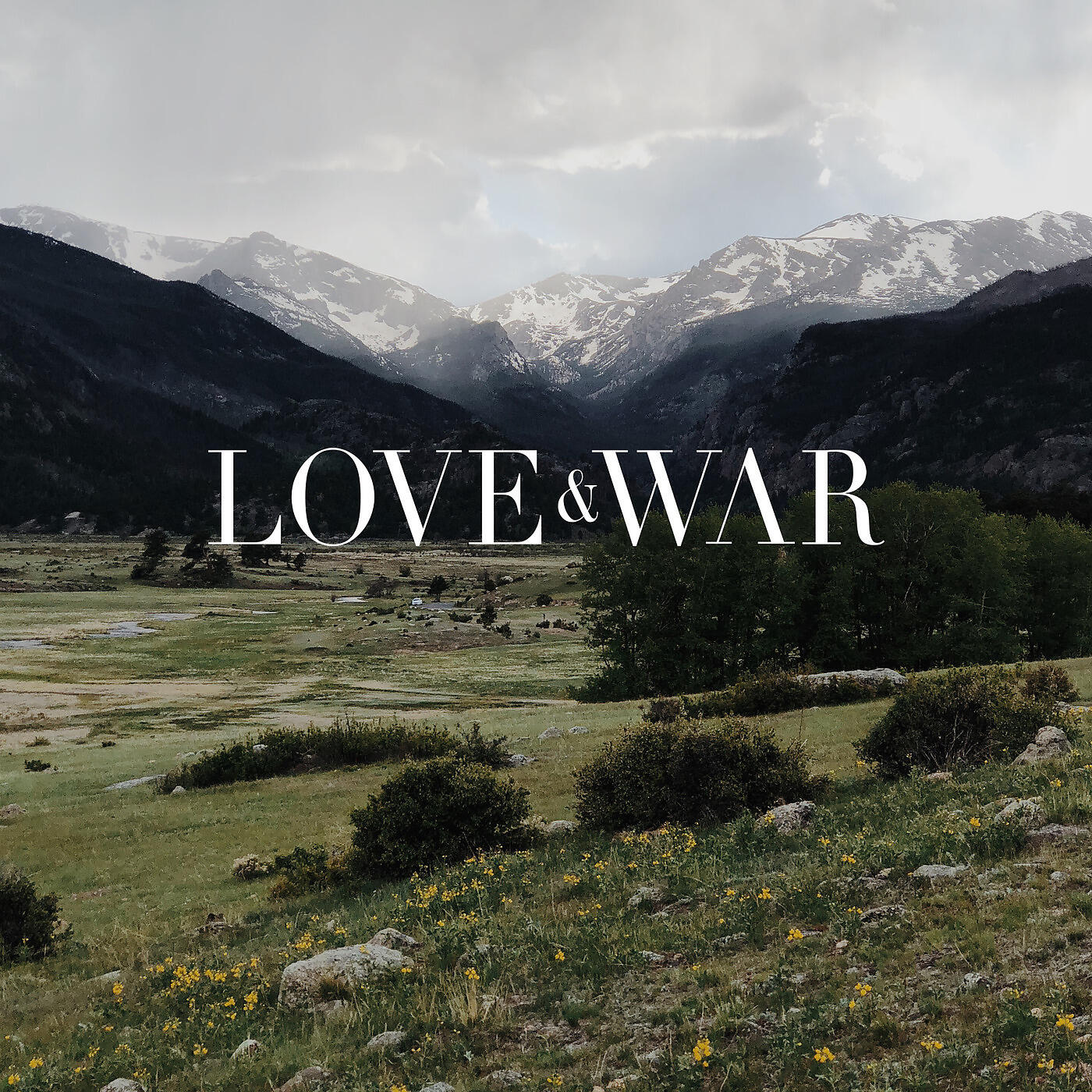 Love & War - Bonsai