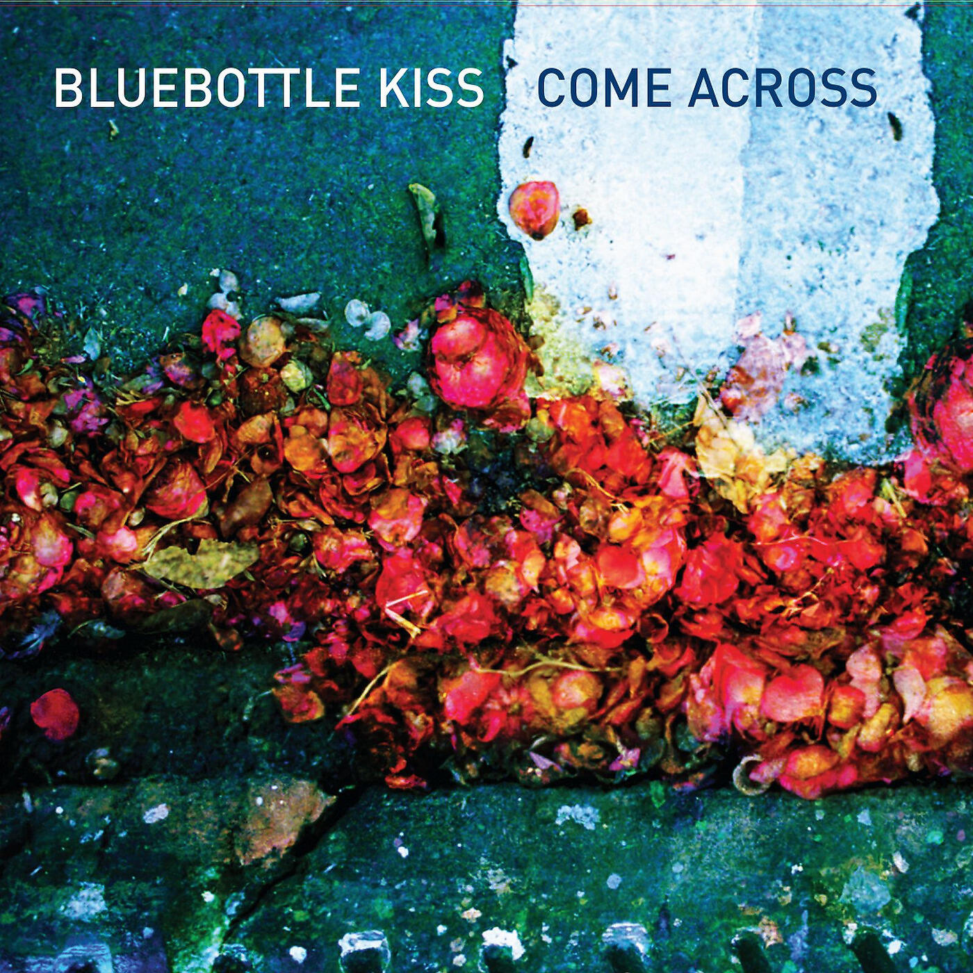 Bluebottle Kiss - Everything Begins and Ends at Exactly the Right Time