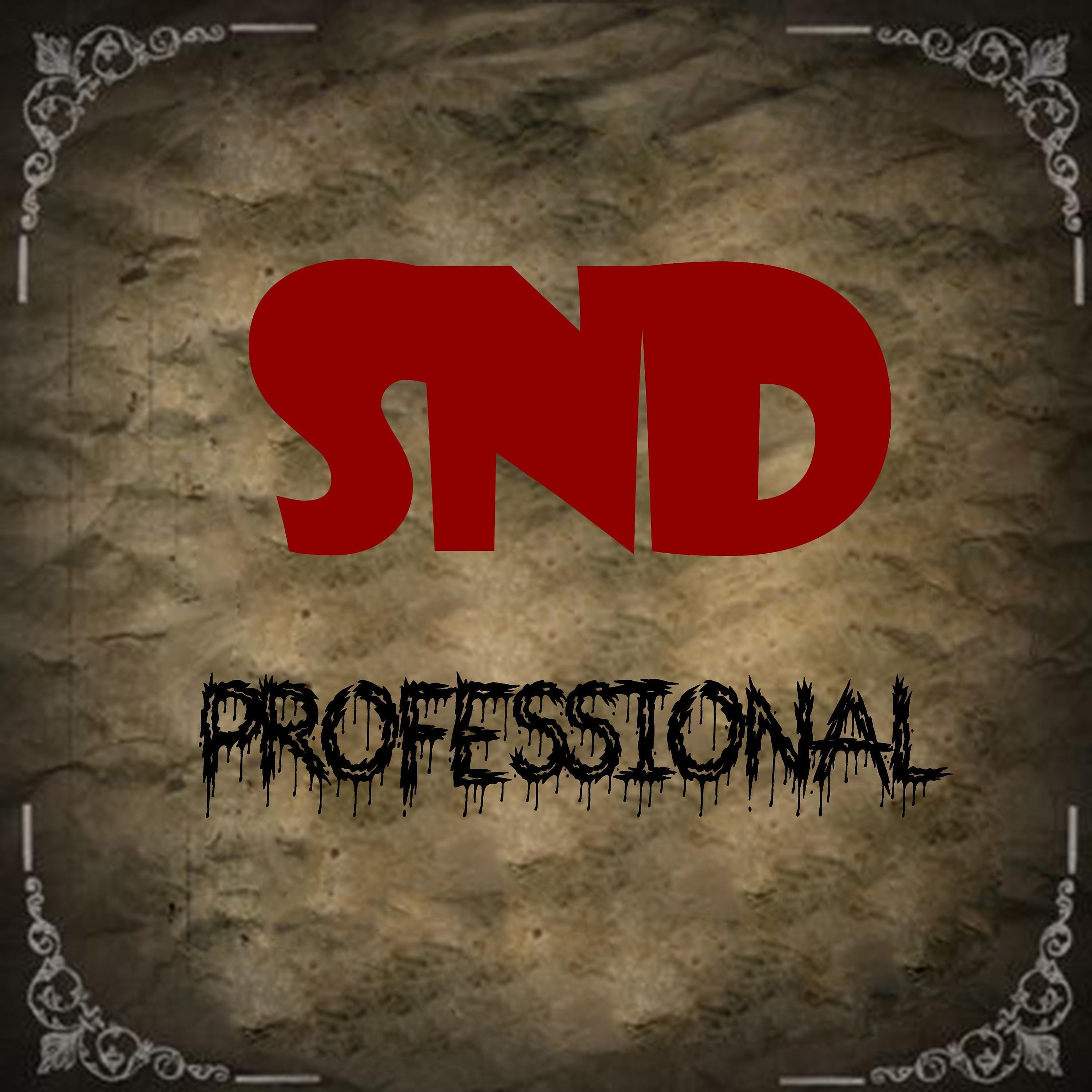 Постер альбома Snd Professional