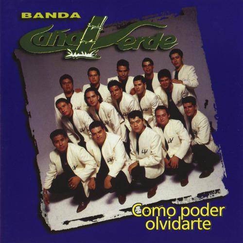 Постер альбома Como Poder Olvidarte