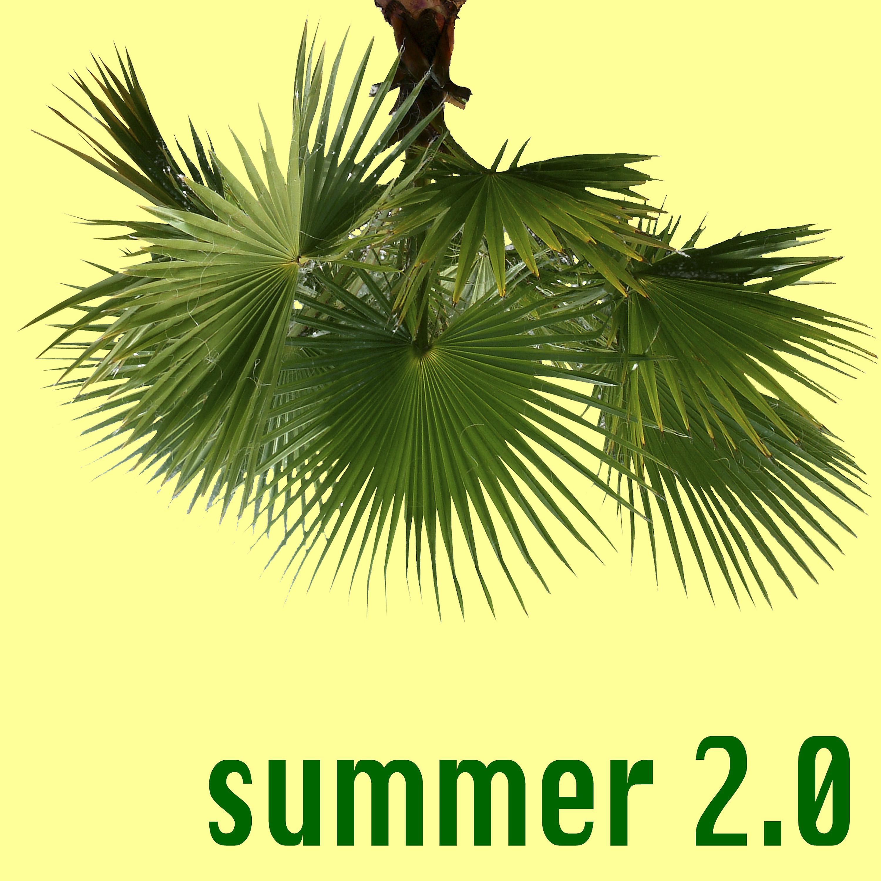 Постер альбома Summer 2.0