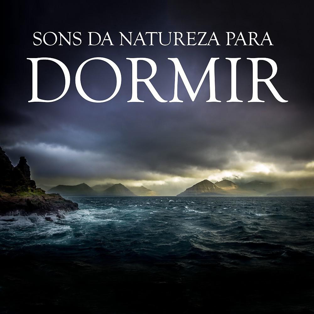 Sons da Natureza Projeto ECO Brasil - Som de Rio e Pássaros da Floresta