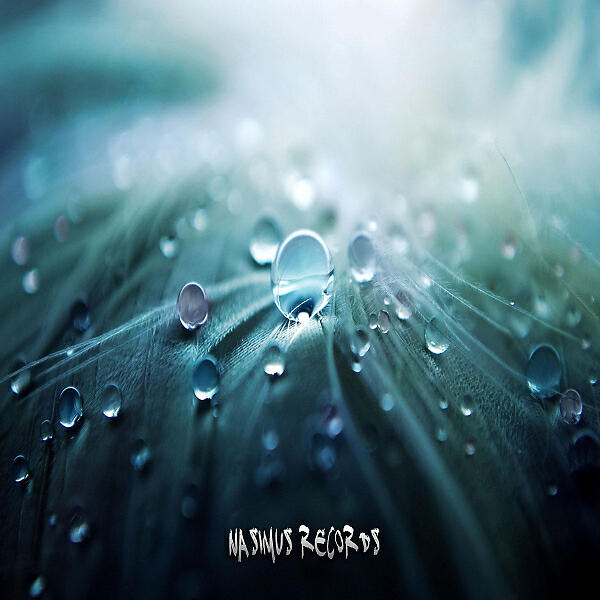 Nacim Ladj - Coming Undone