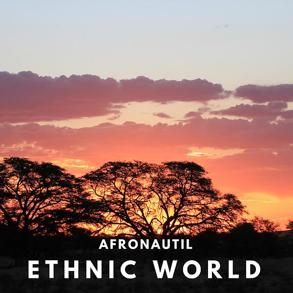 Постер альбома Ethnic World