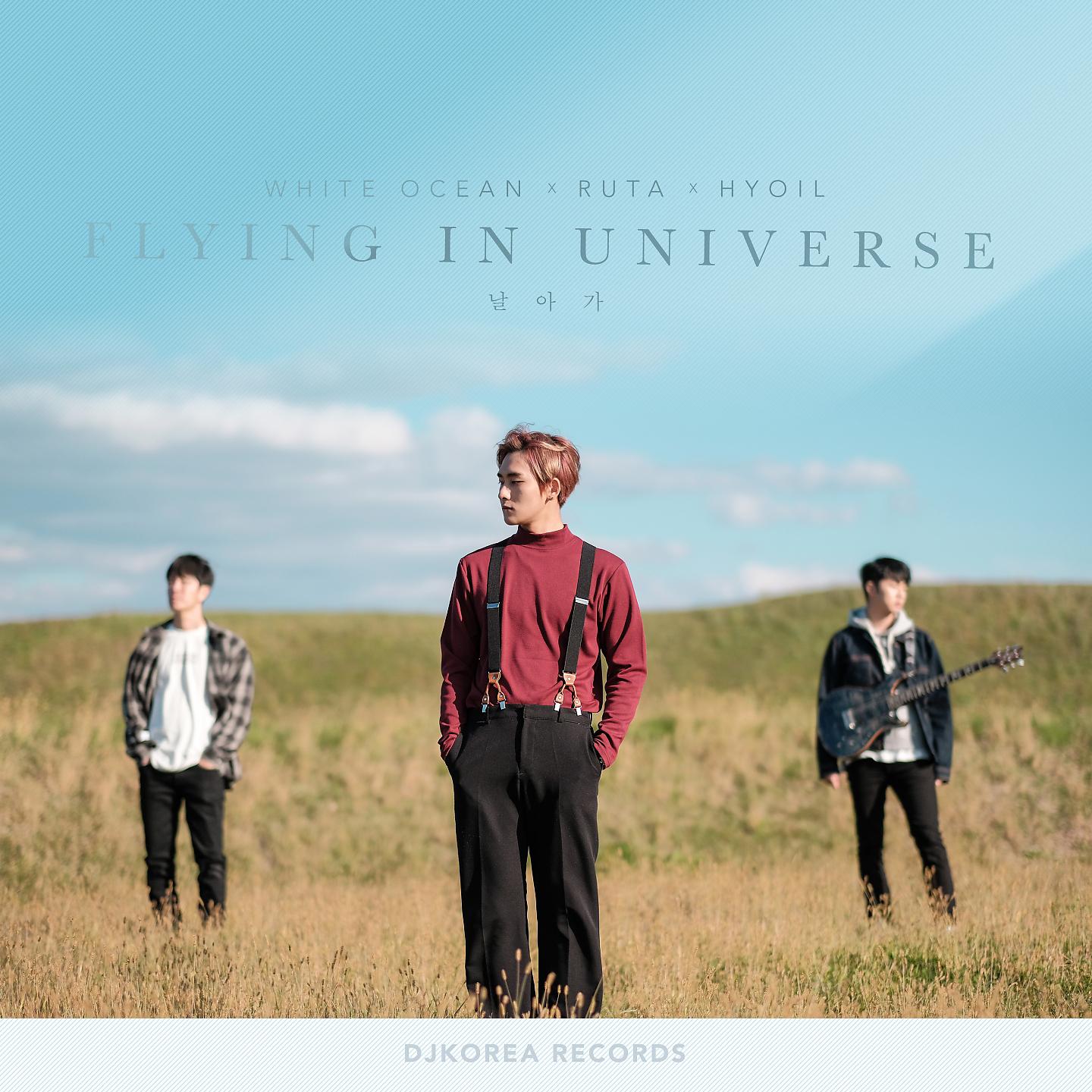 Постер альбома Flying In Universe