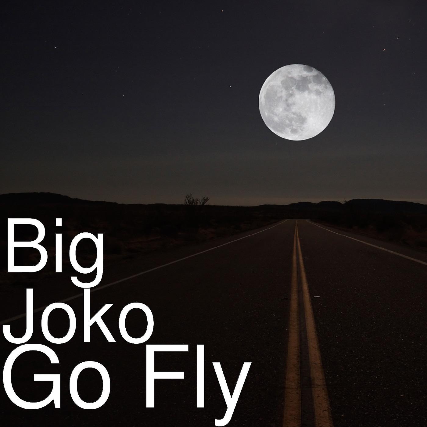 Постер альбома Go Fly