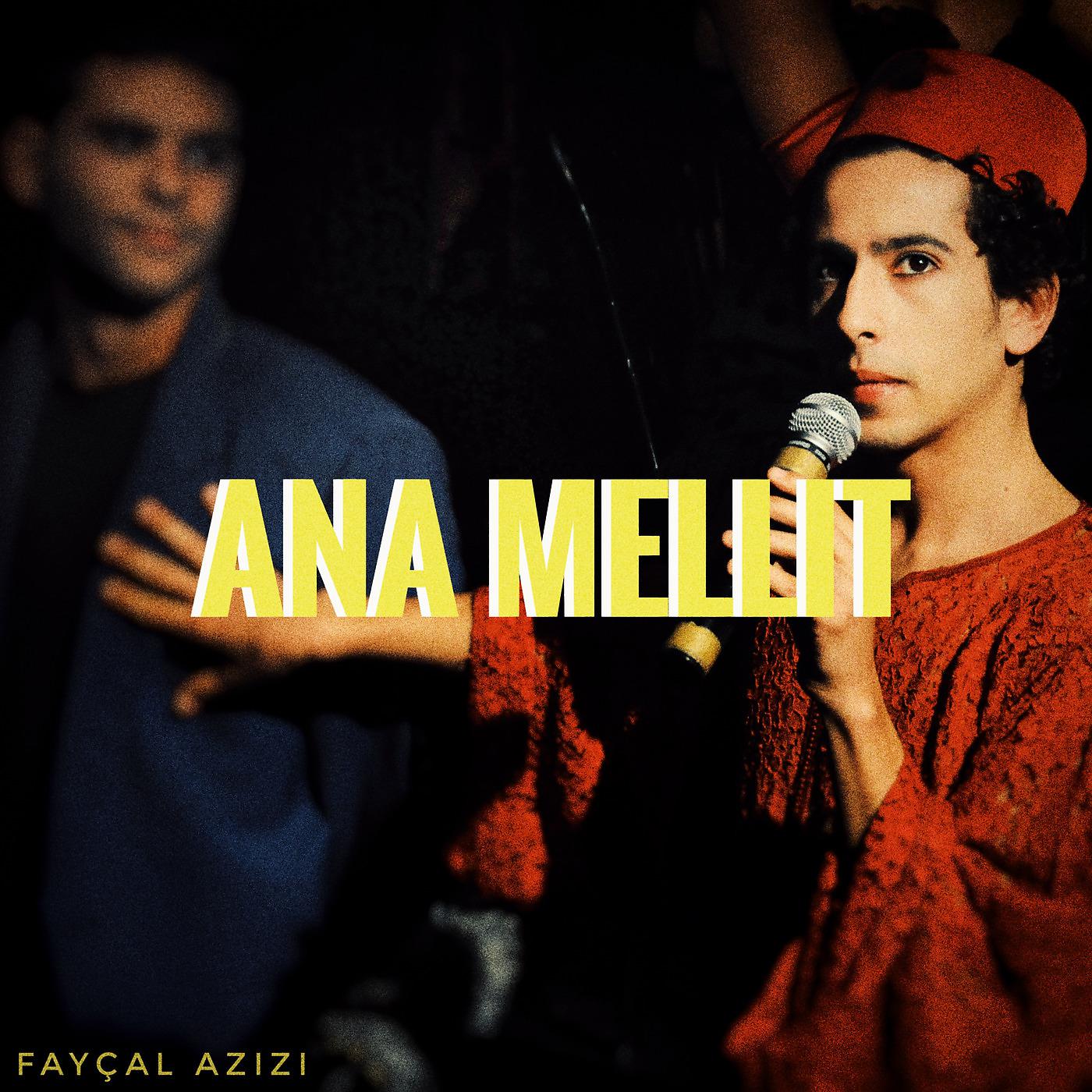 Постер альбома Ana Mellit