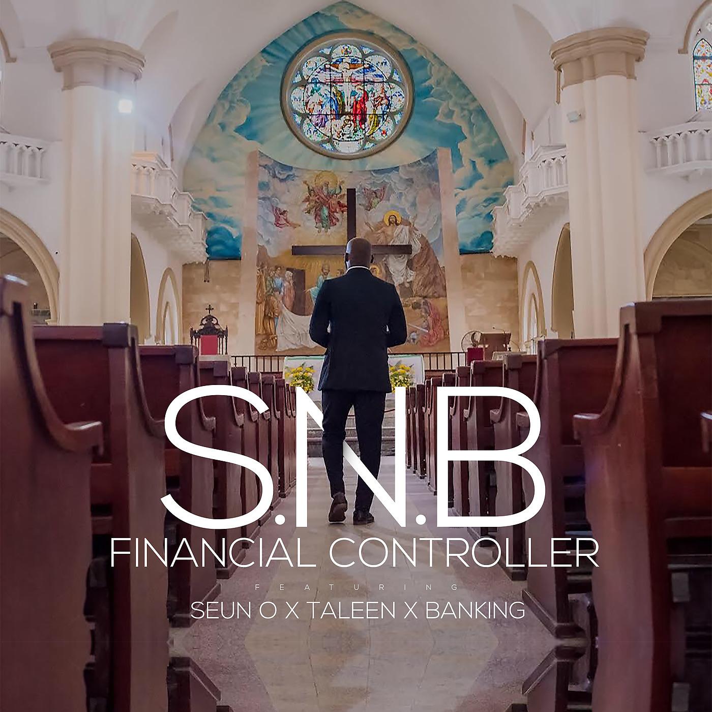 Постер альбома Financial Controller