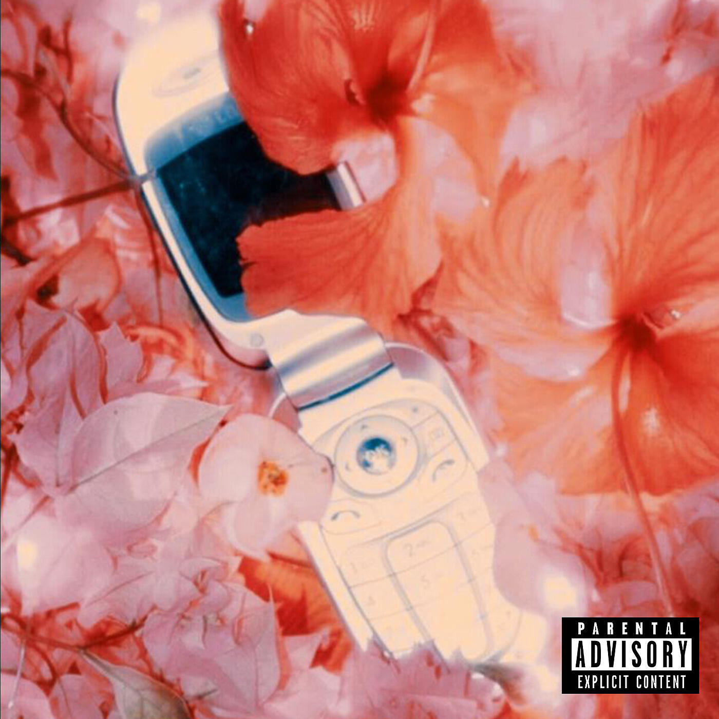 NSI - Un trait