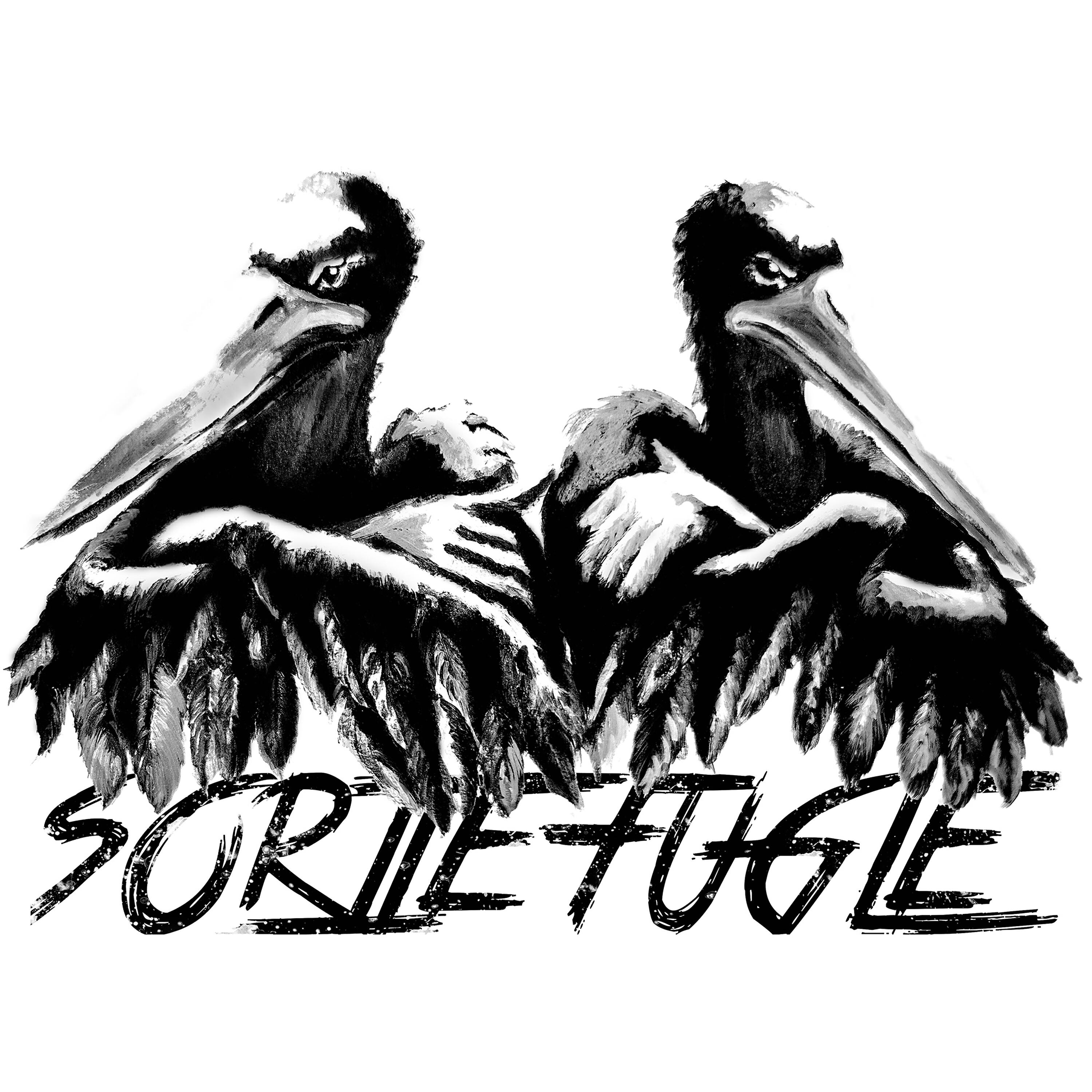 Sorte Fugle - Tag et hiv