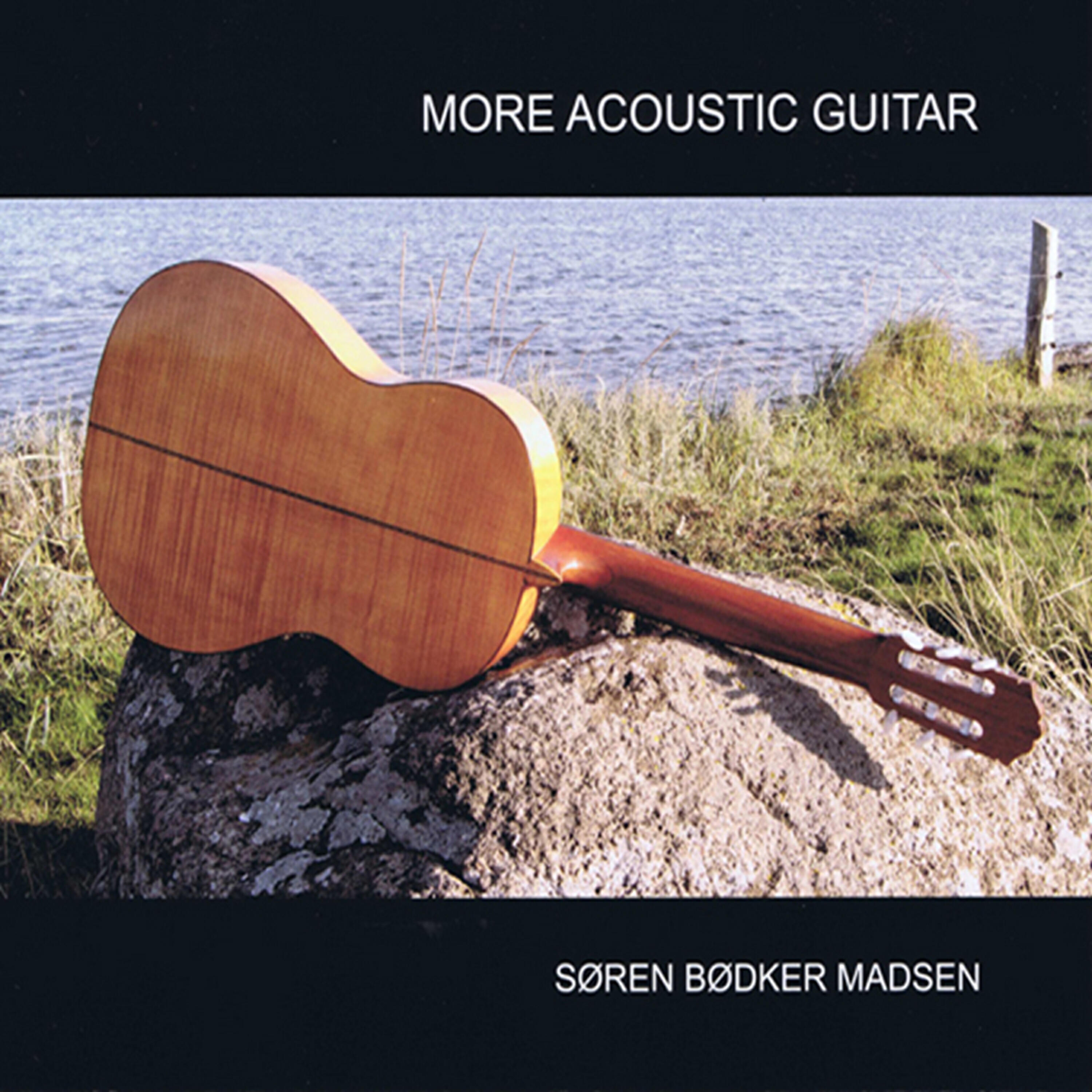 Søren Bødker Madsen - Signe