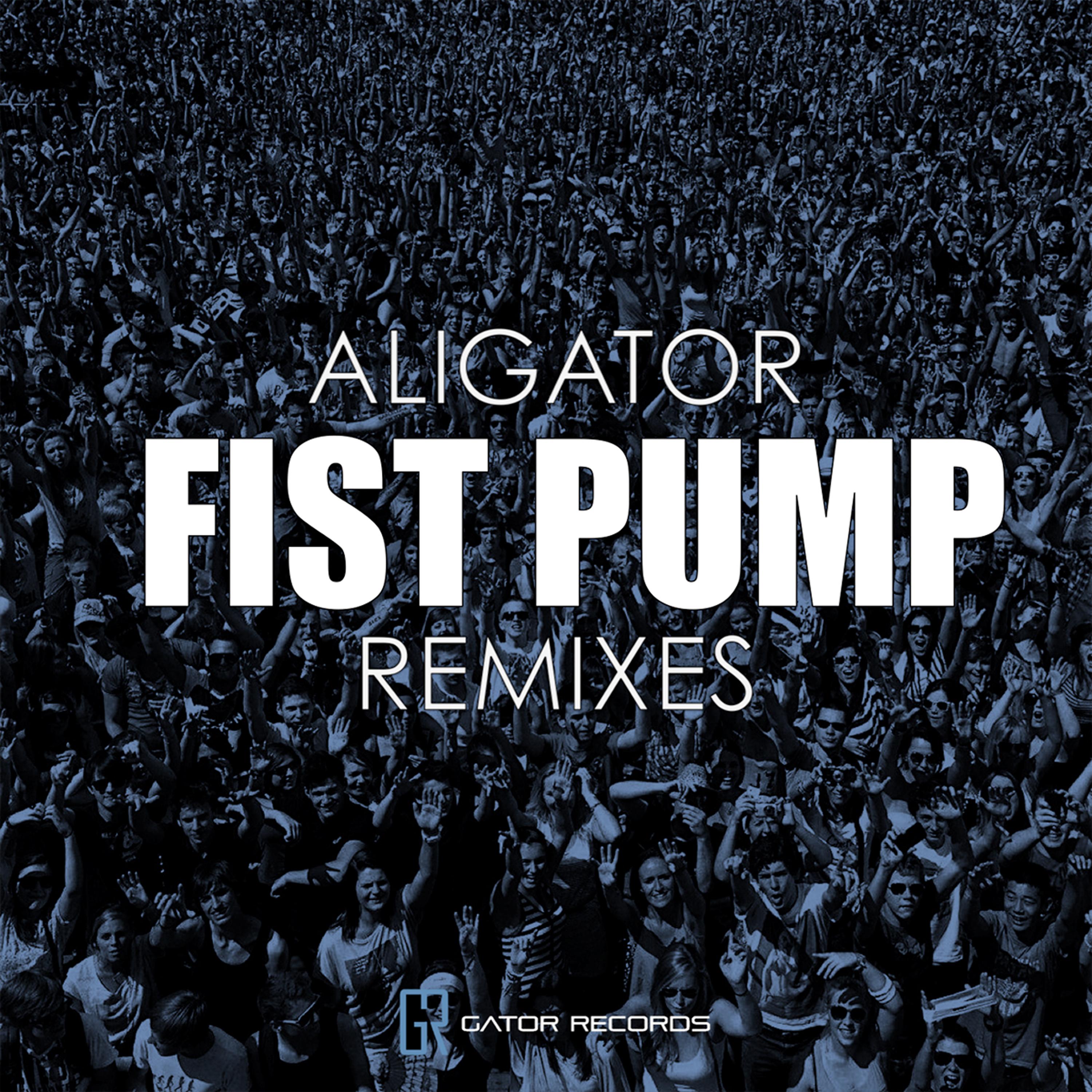 Постер альбома Fist Pump Remixes
