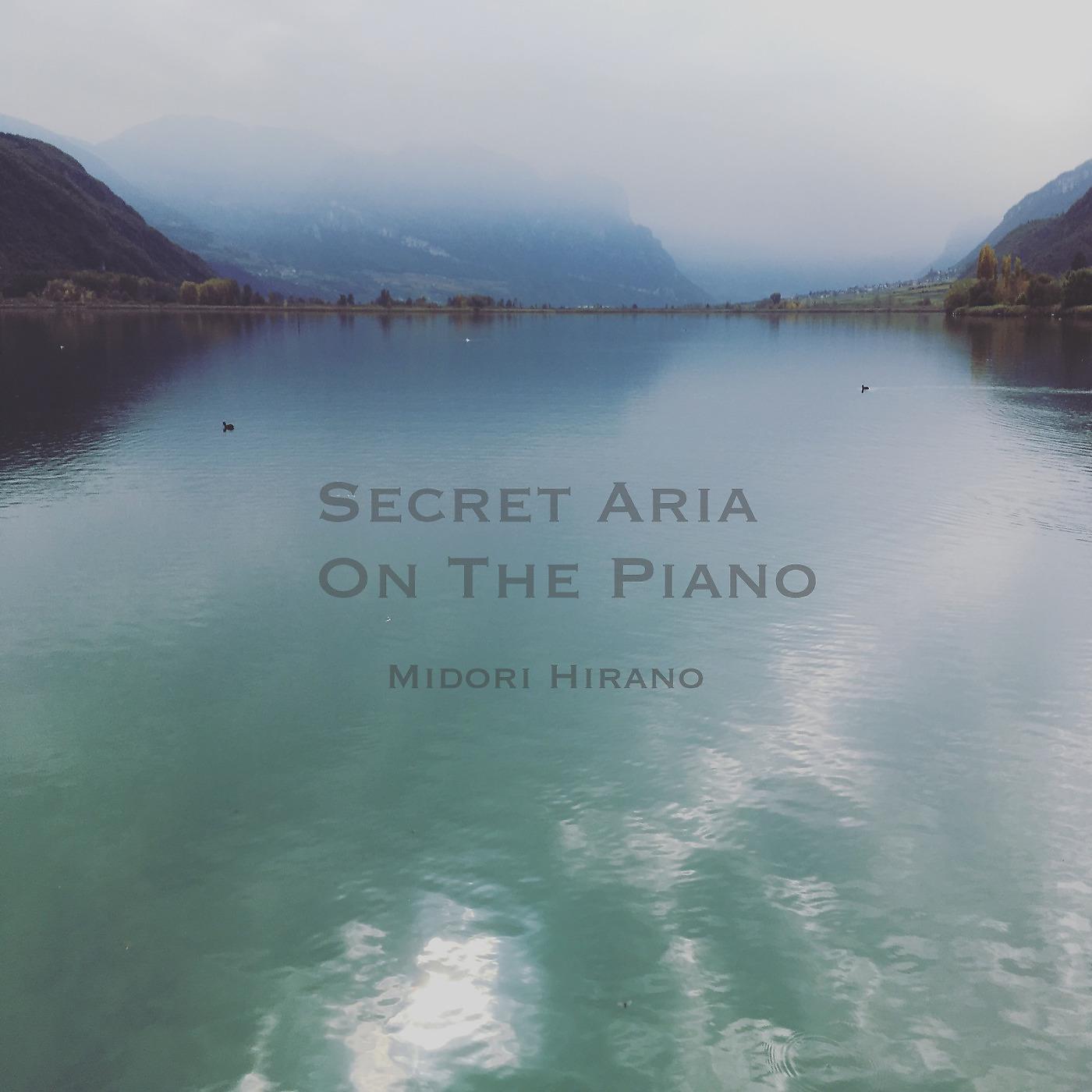 Постер альбома Secret Aria on the Piano
