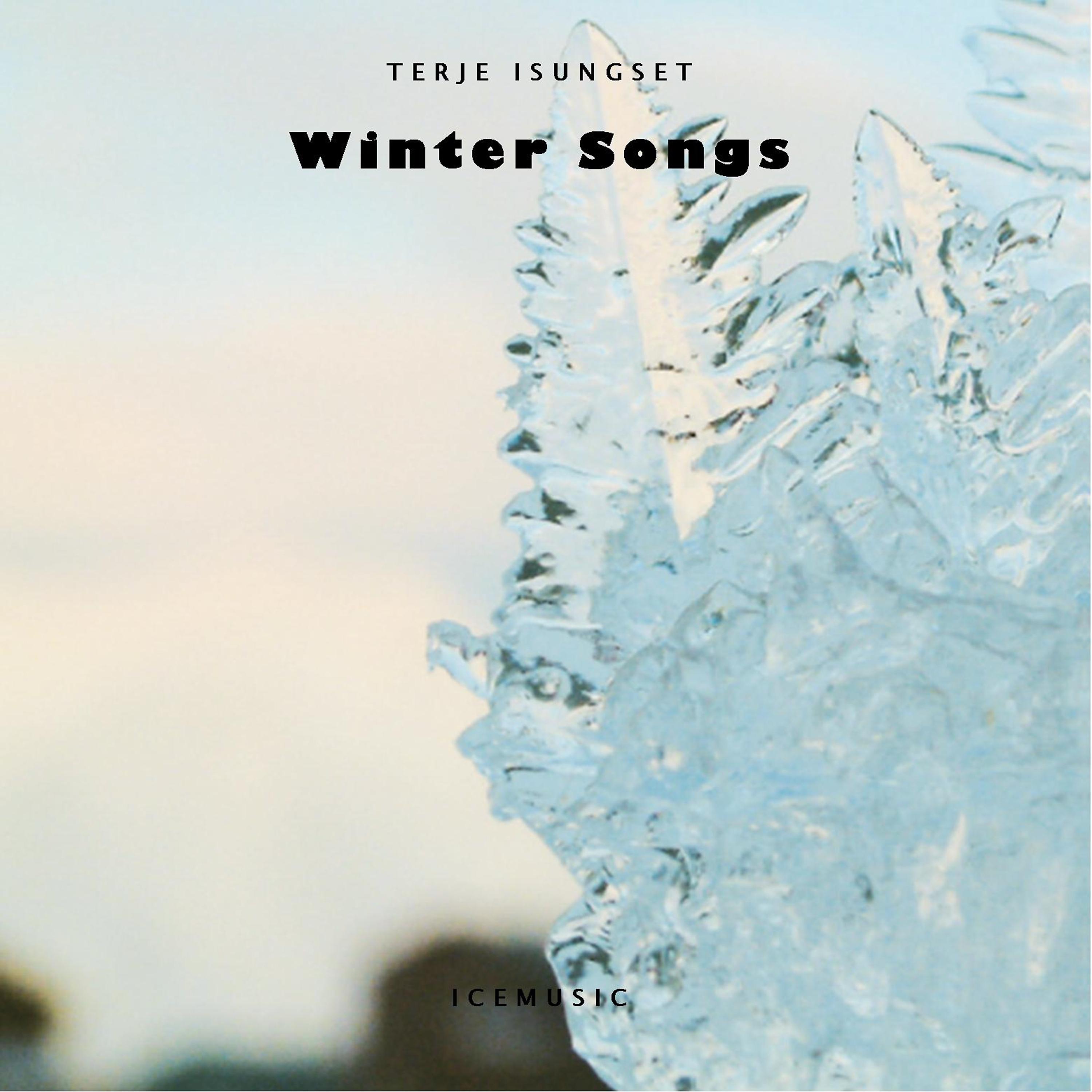 Постер альбома Winter Songs (Icemusic)
