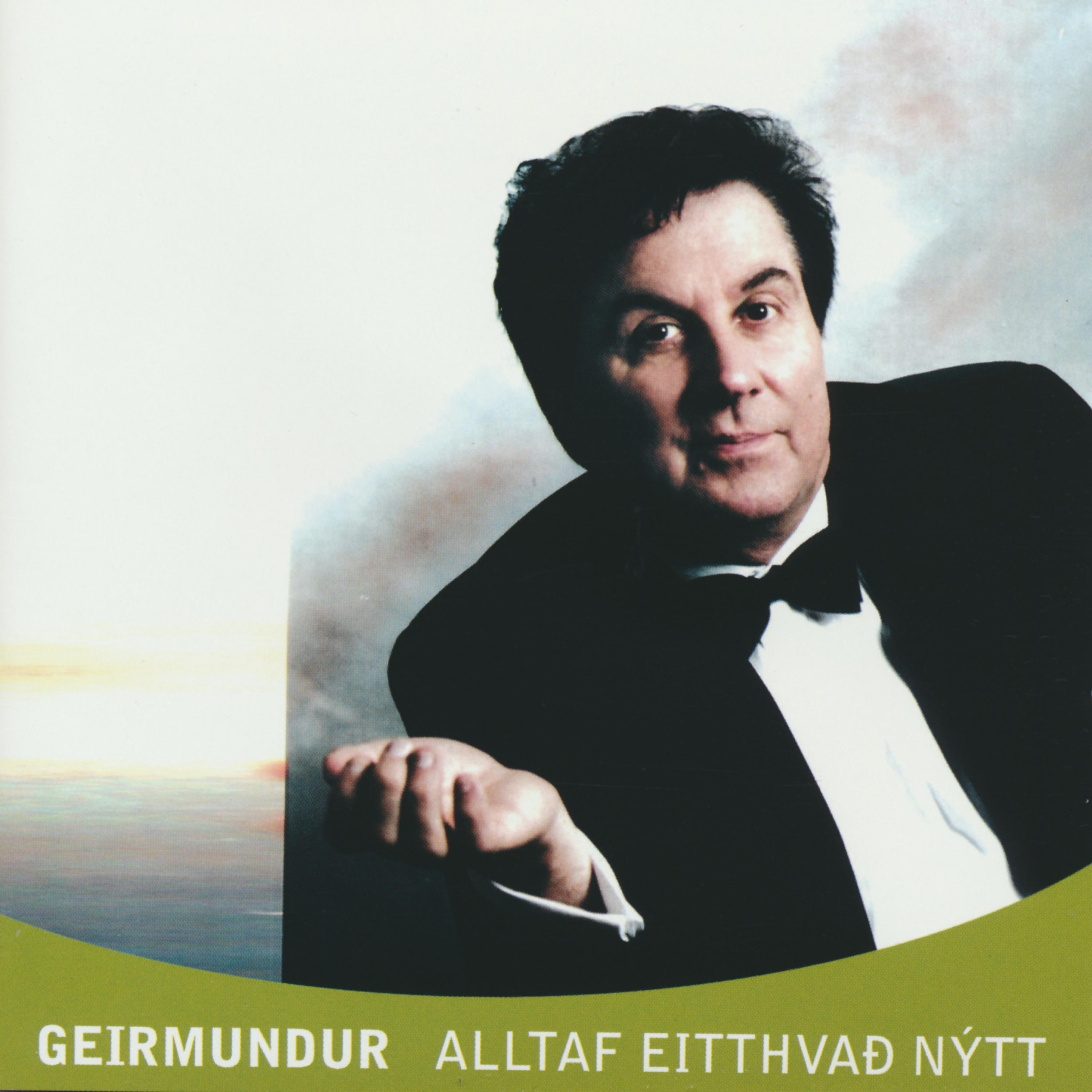 Постер альбома Alltaf Eitthvað Nýtt