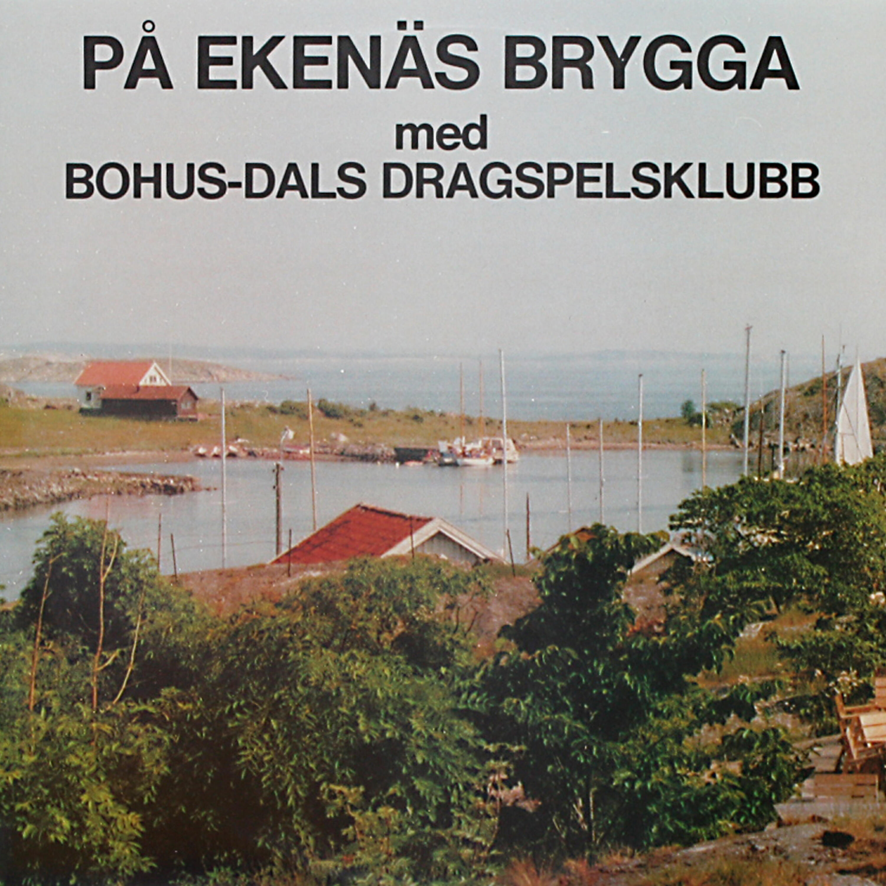 Bohus-Dals Dragspelsklubb - Med Hundra Dragspel Och En Flicka