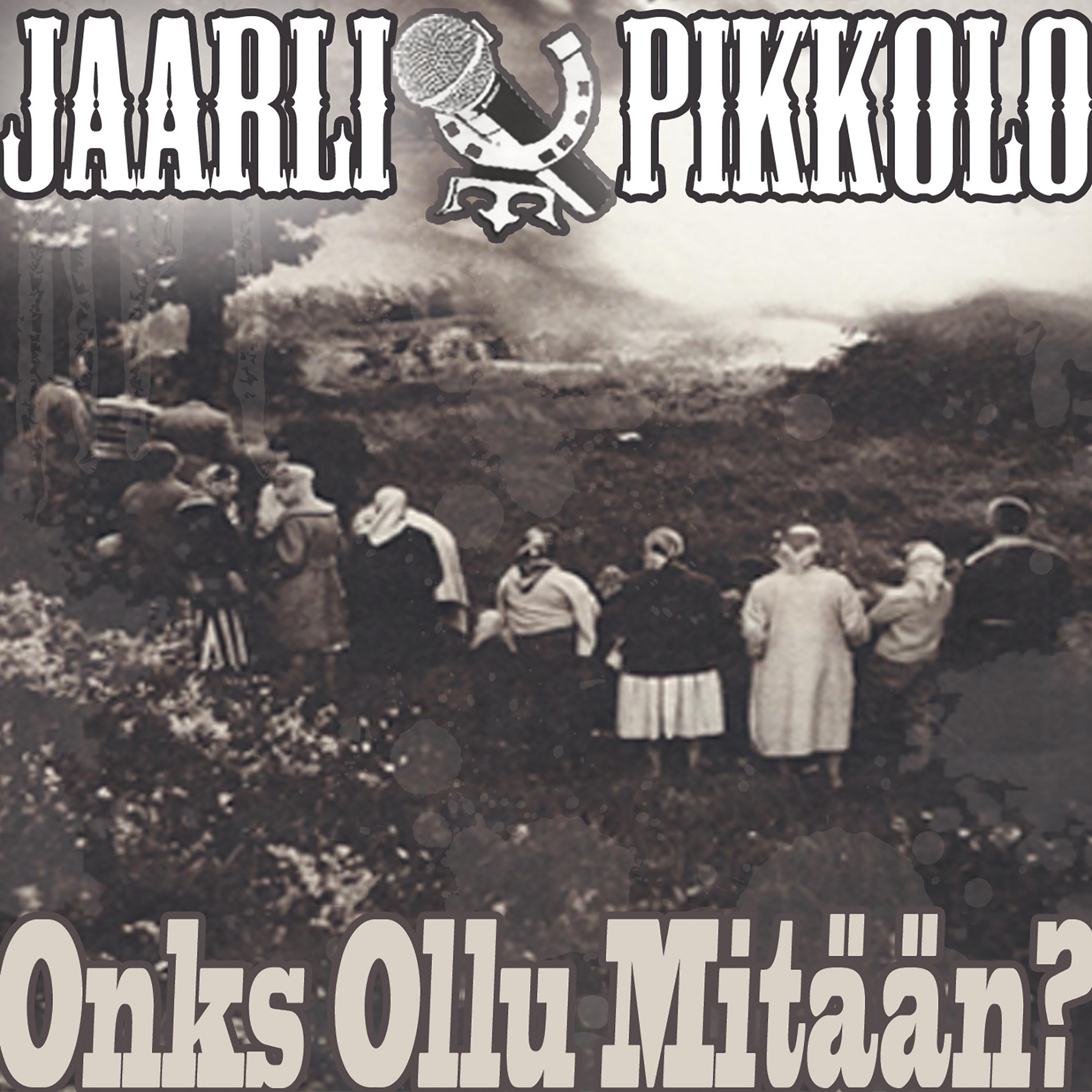 Постер альбома Onks Ollu Mitään