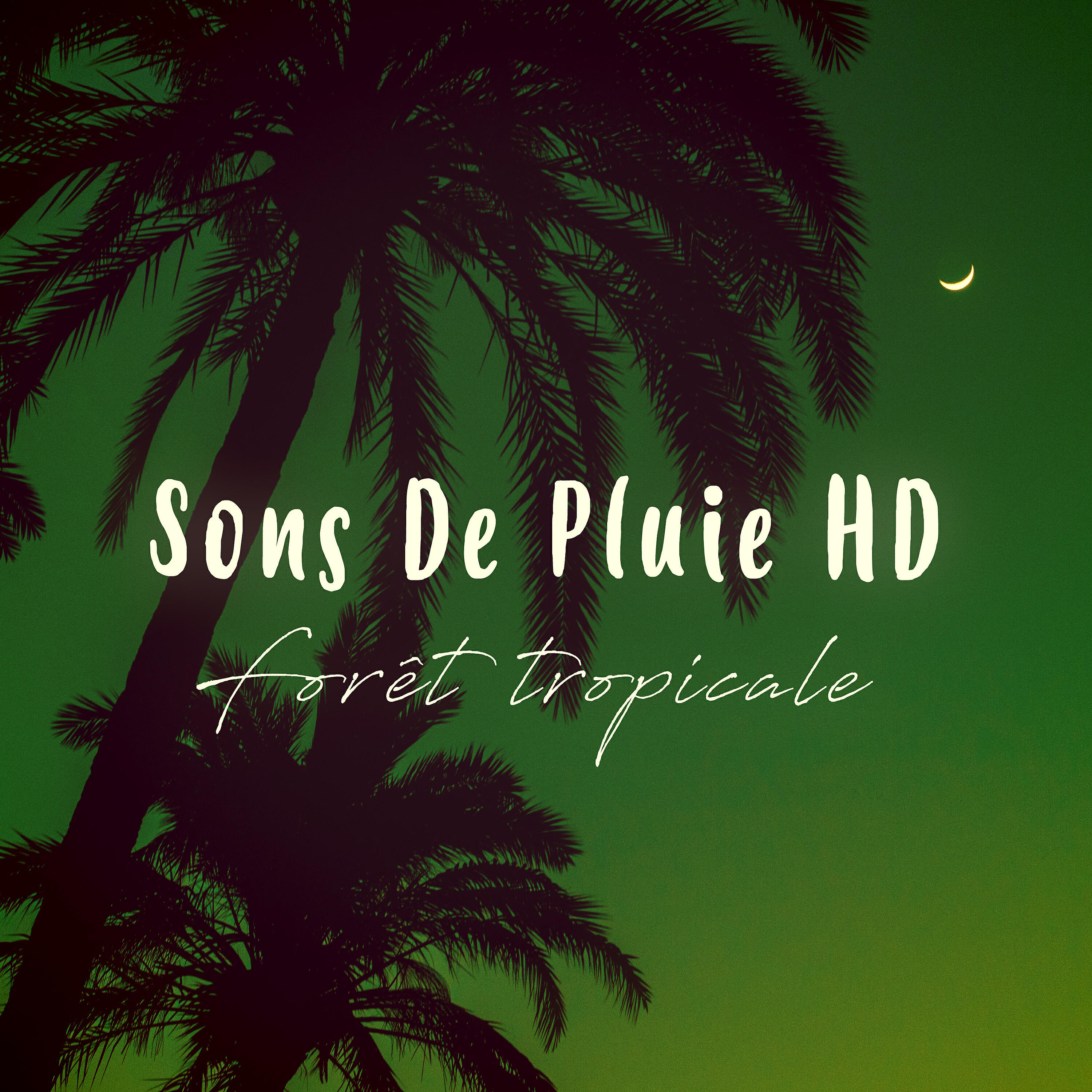Sons De Pluie HD - Pluie: Sommeil Pur