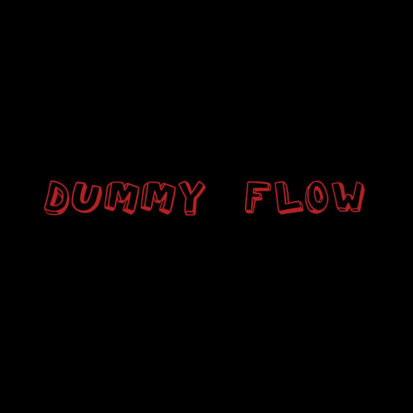 Постер альбома Dummy Flow