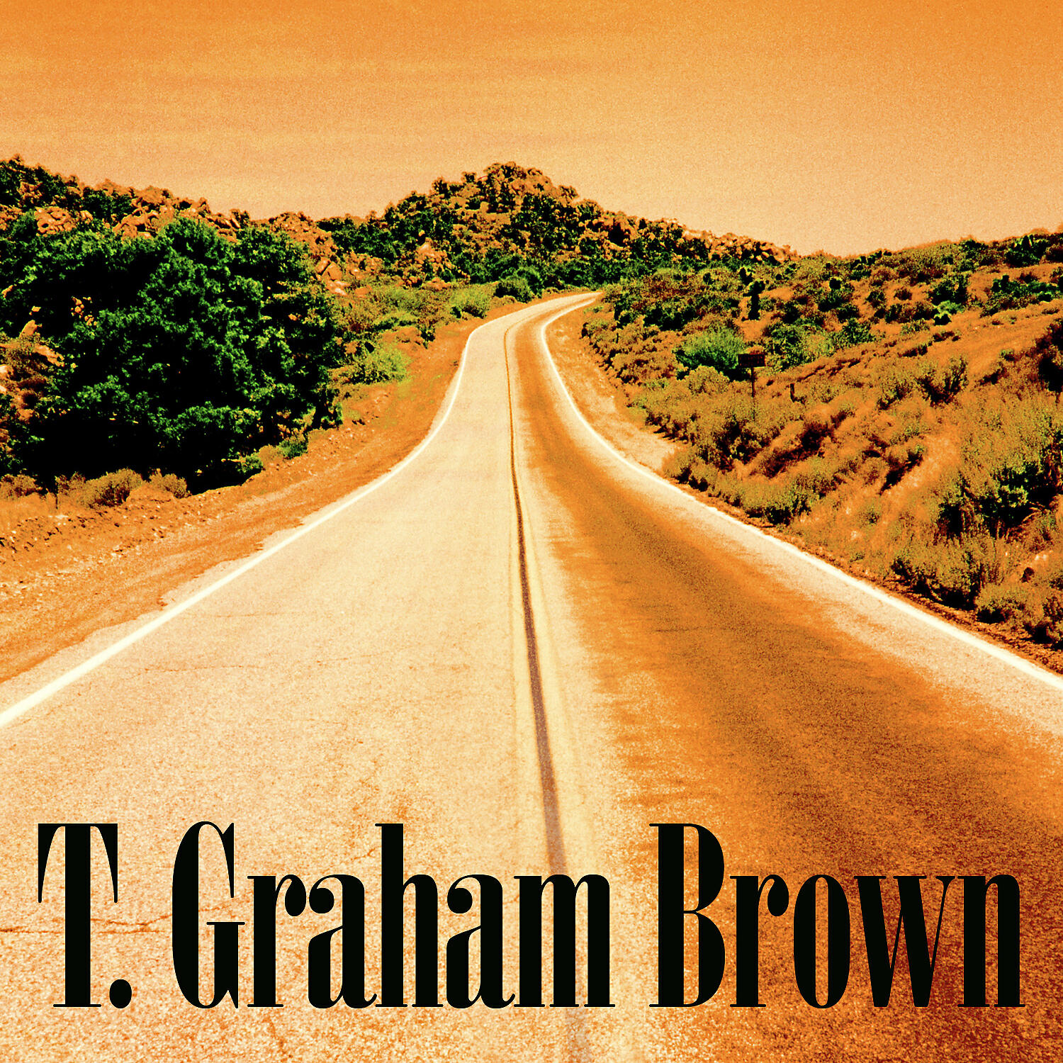 T. Graham Brown - If You Could Only See Me Now