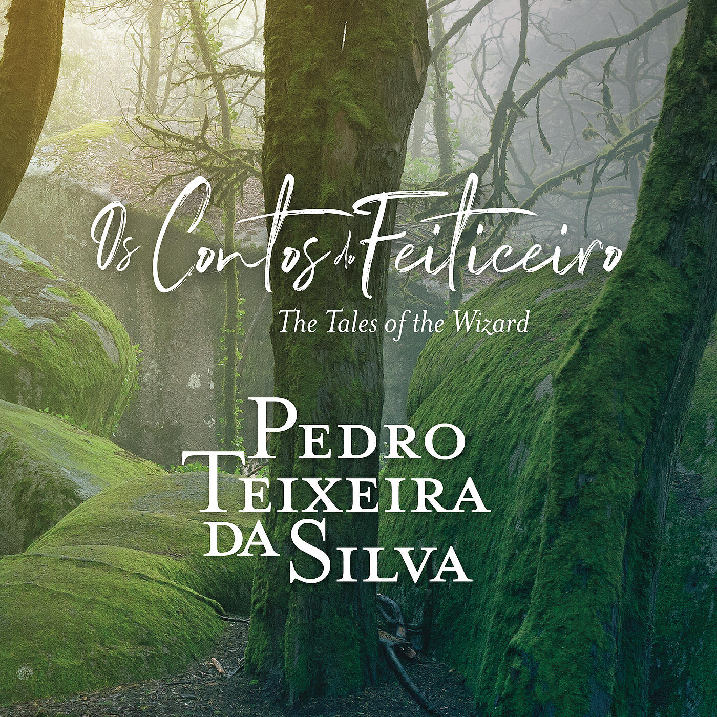 Pedro Teixeira da Silva - A Floresta Mágica - III. O Gato e a Vara de Condão