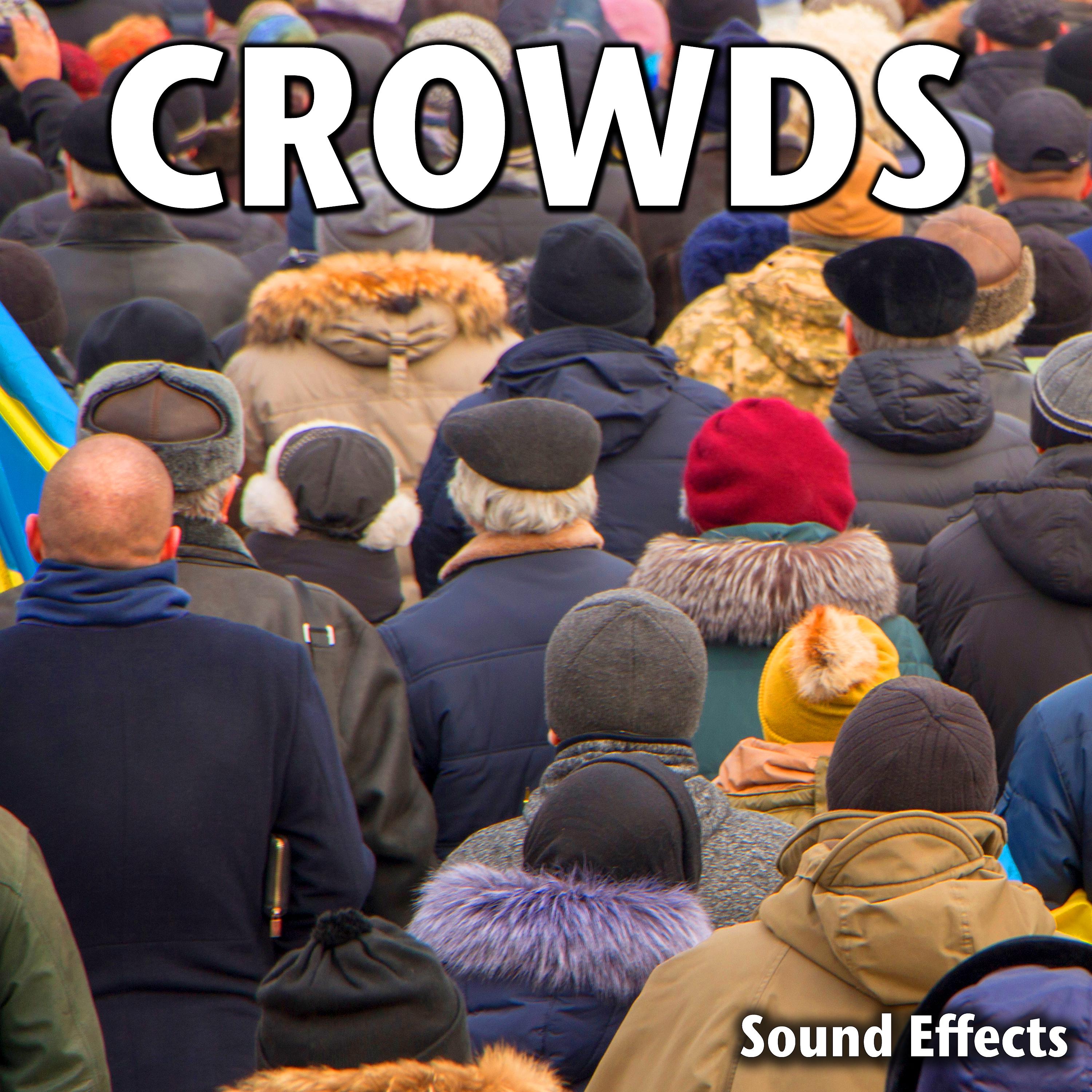 Постер альбома Crowds Sound Effects