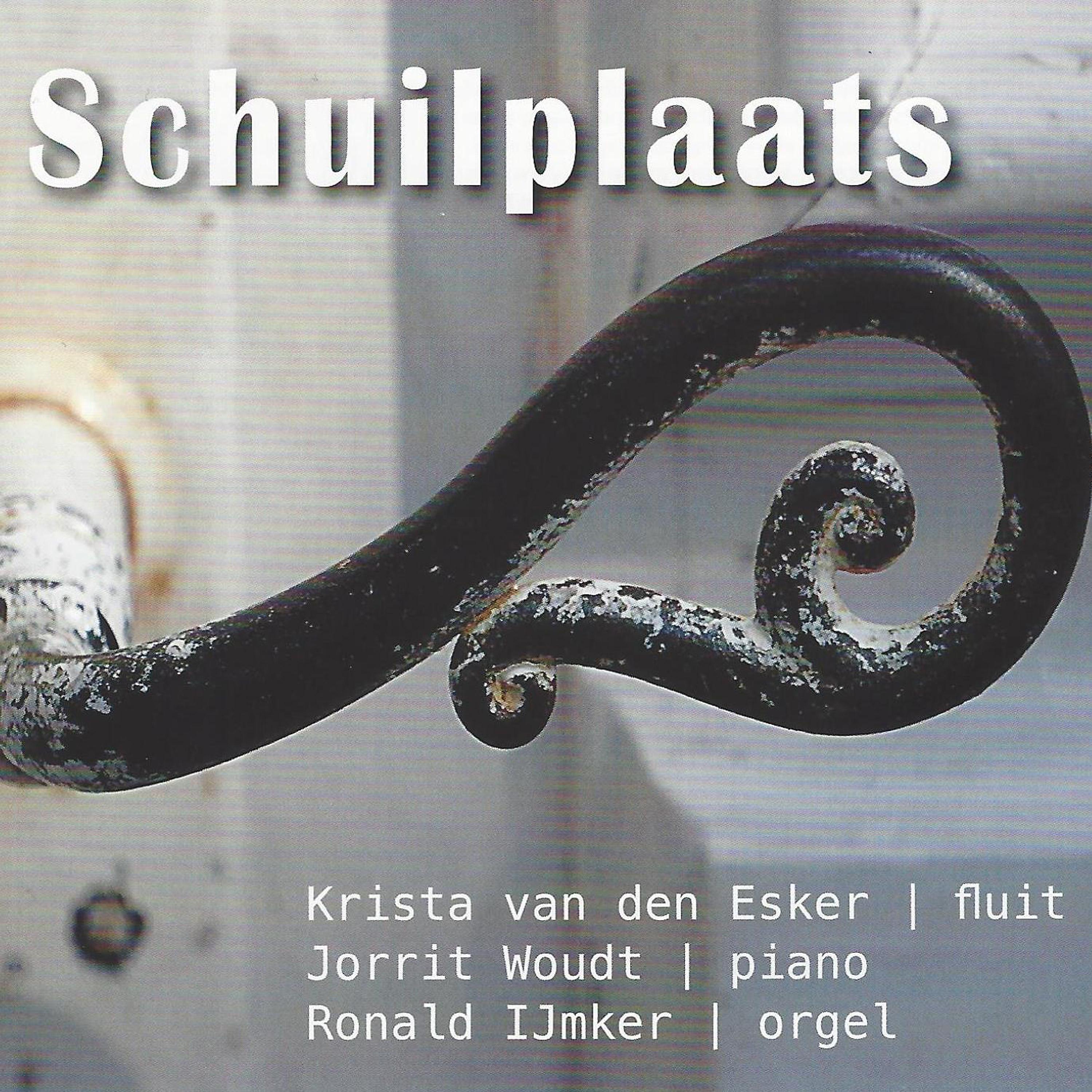 Постер альбома Schuilplaats