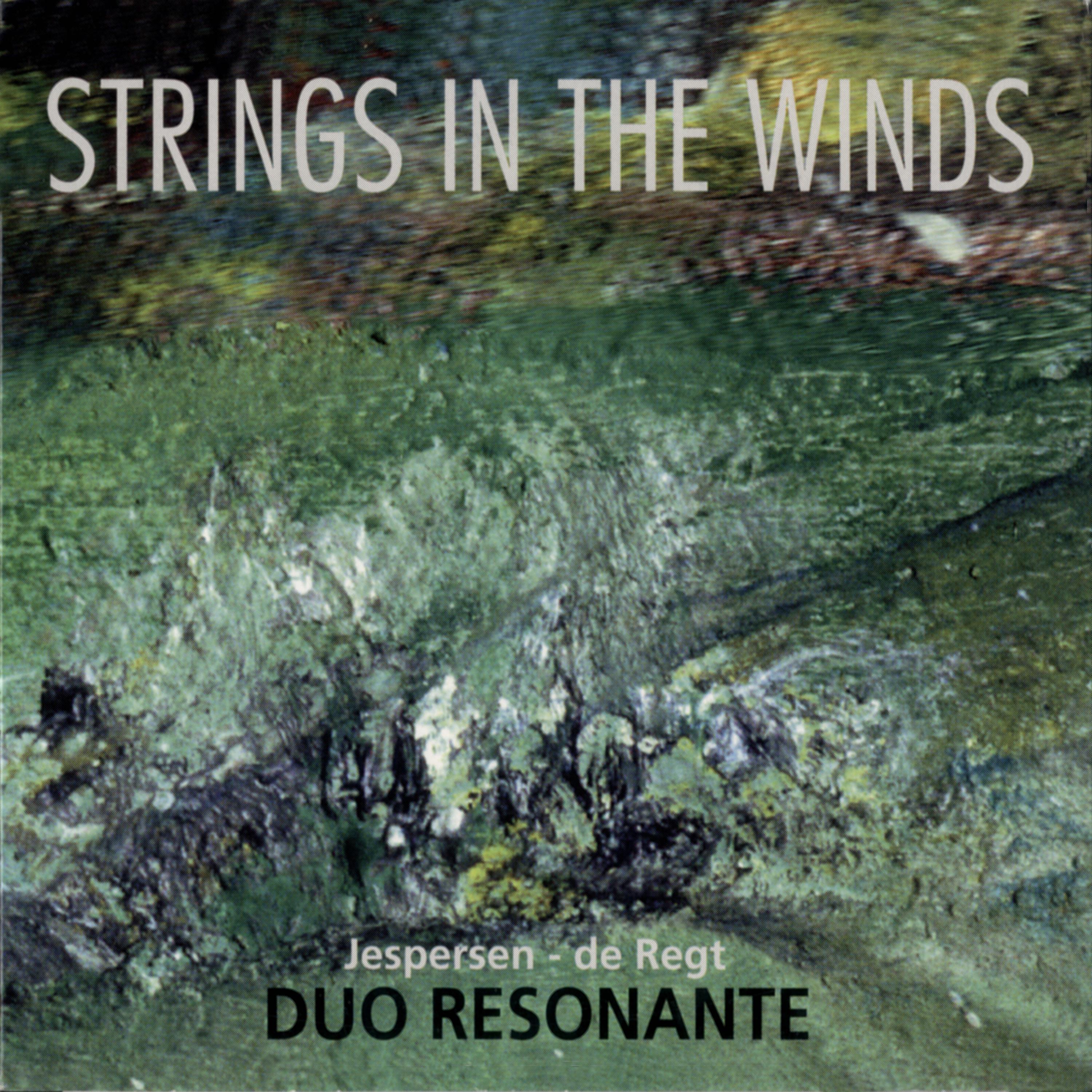 Постер альбома Strings in the Winds