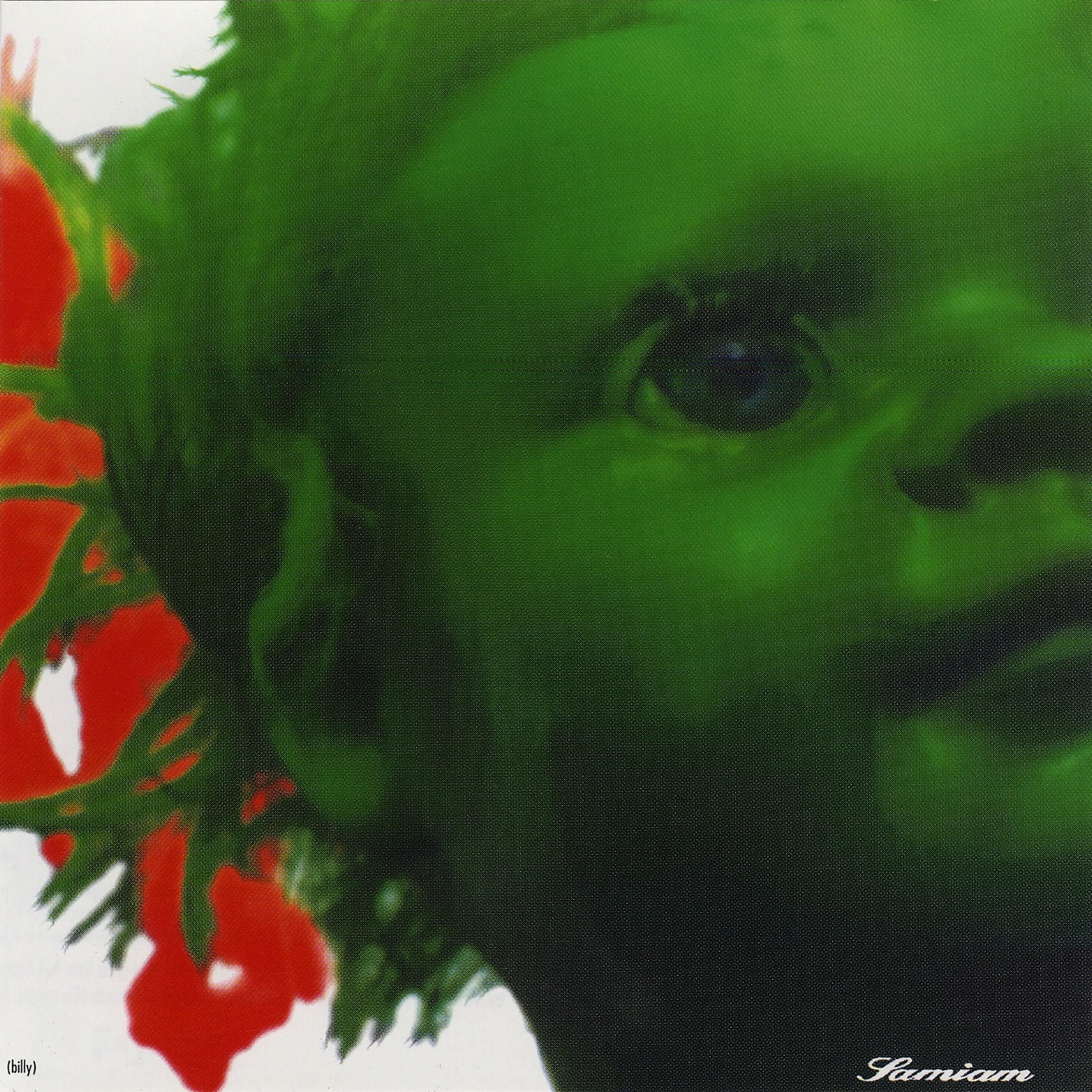 Samiam - Get Out