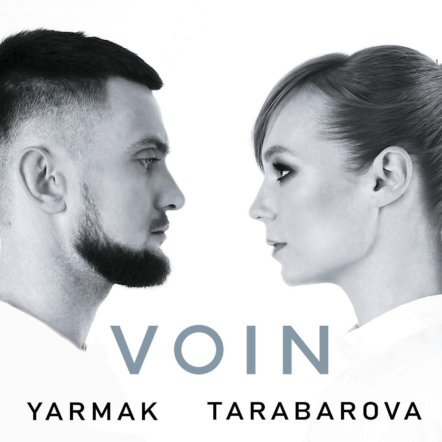 Постер альбома Voin