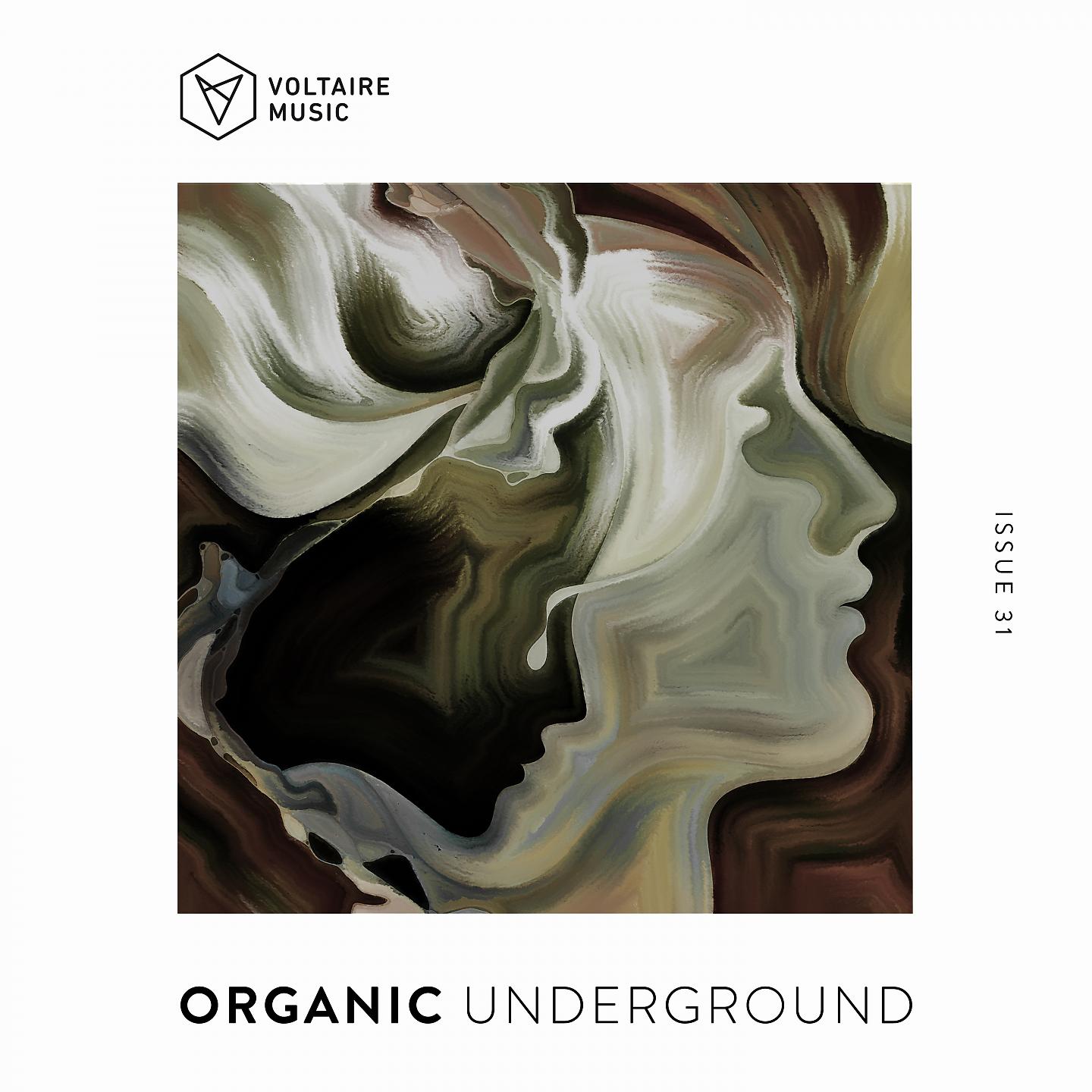 Постер альбома Organic Underground Issue 31