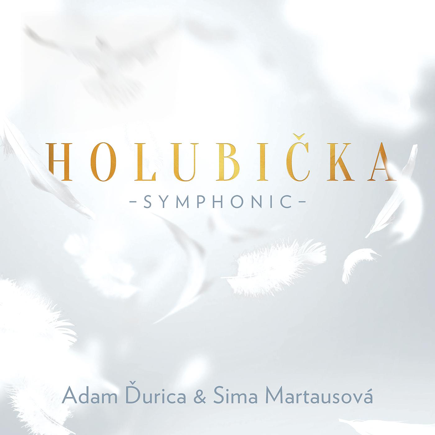 Постер альбома Holubička